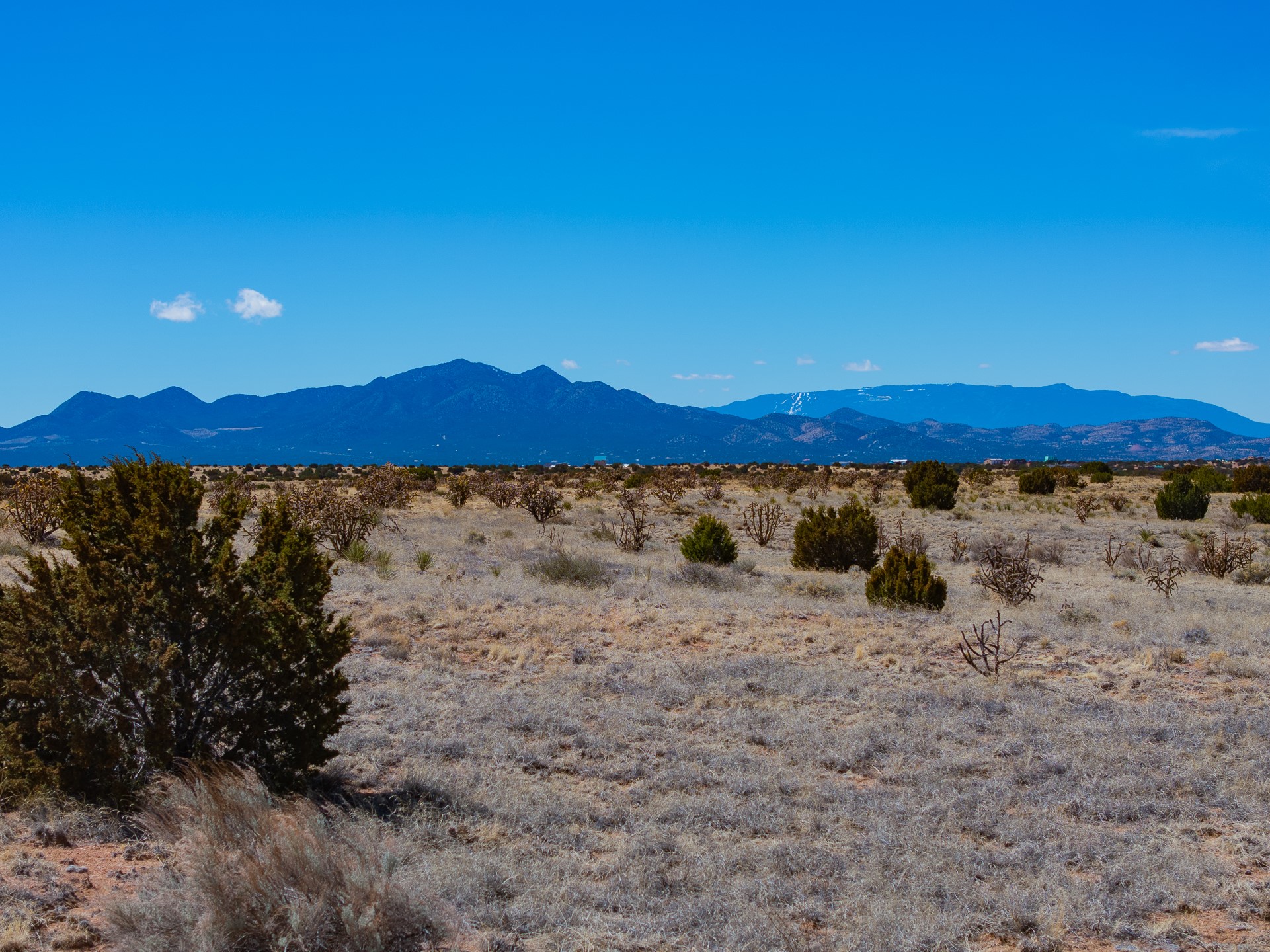 Open scrubland with scattered shrubs and a distant mountain range under a clear blue sky.