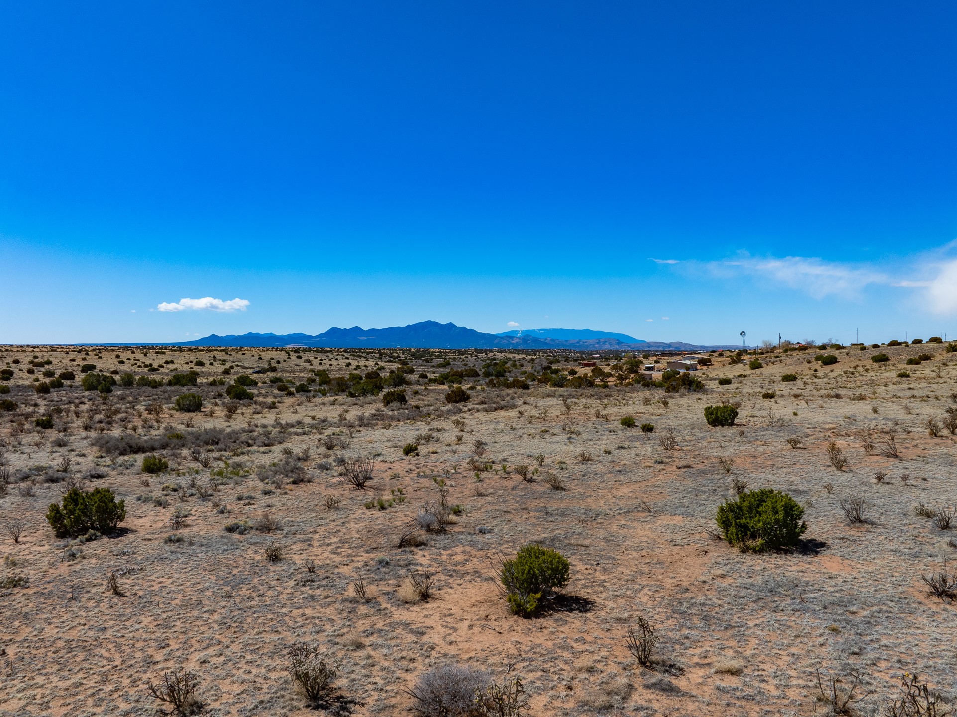 Open scrubland with scattered shrubs and distant mountain views.