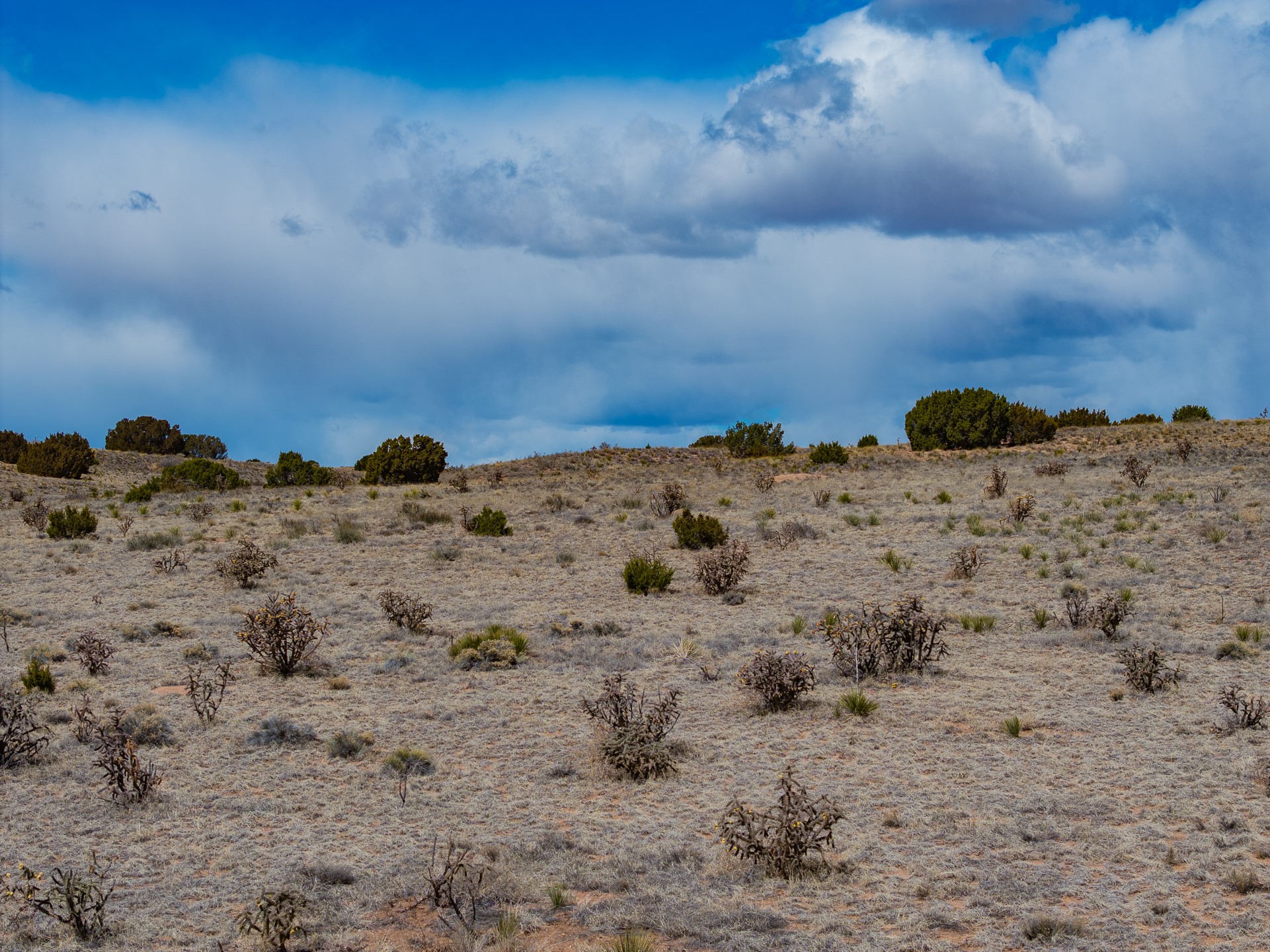 Undeveloped high-desert acreage with scattered shrubs and juniper beneath a cloudy blue sky.