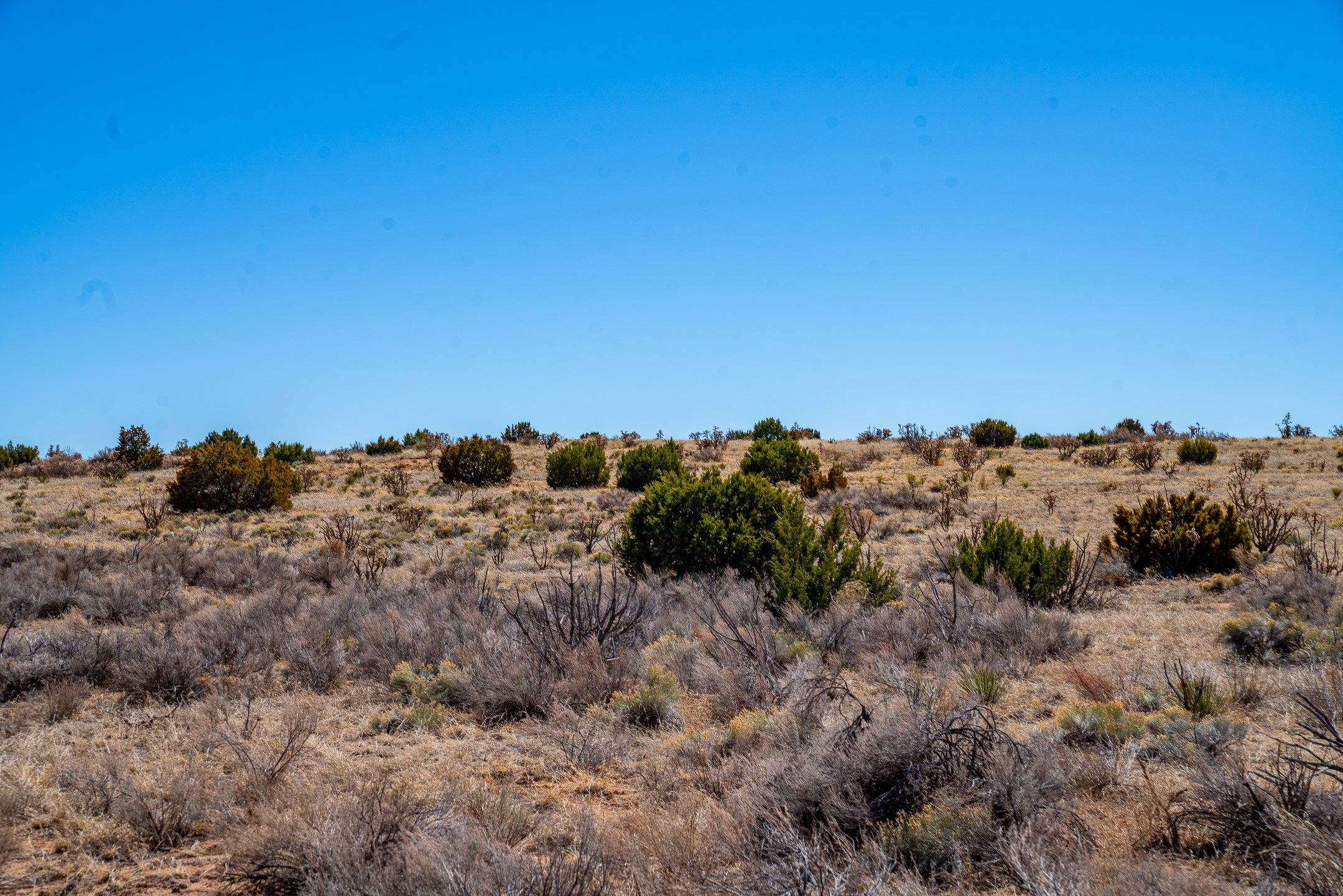 Undeveloped high-desert land with rolling dry grassland and scattered shrubs beneath a clear blue sky.