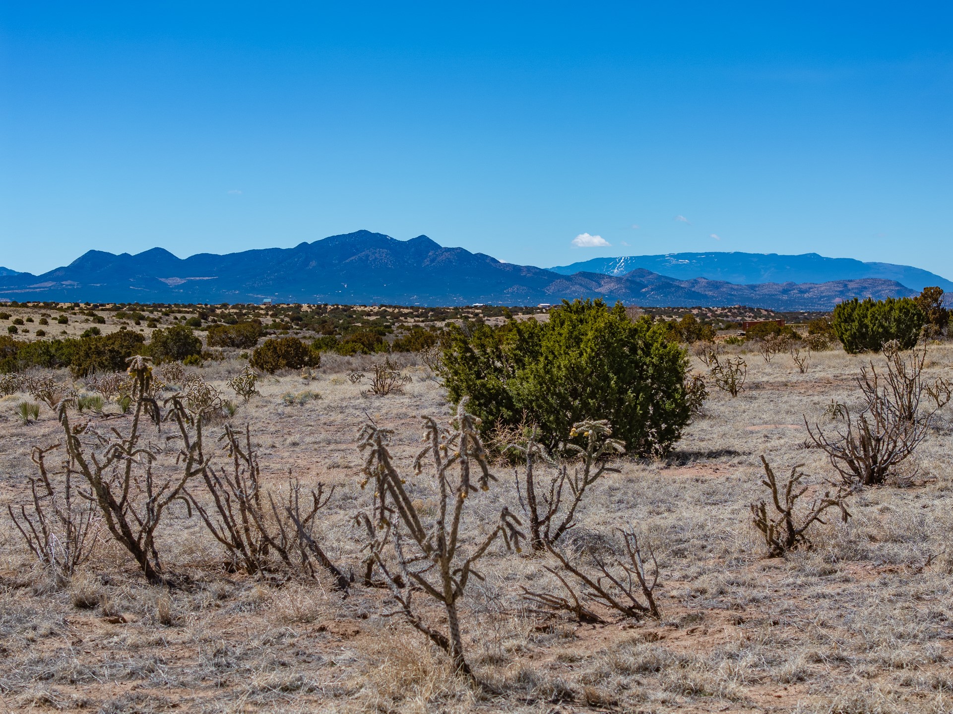 Open dry grassland with scattered shrubs and a mountain range beneath a clear blue sky.