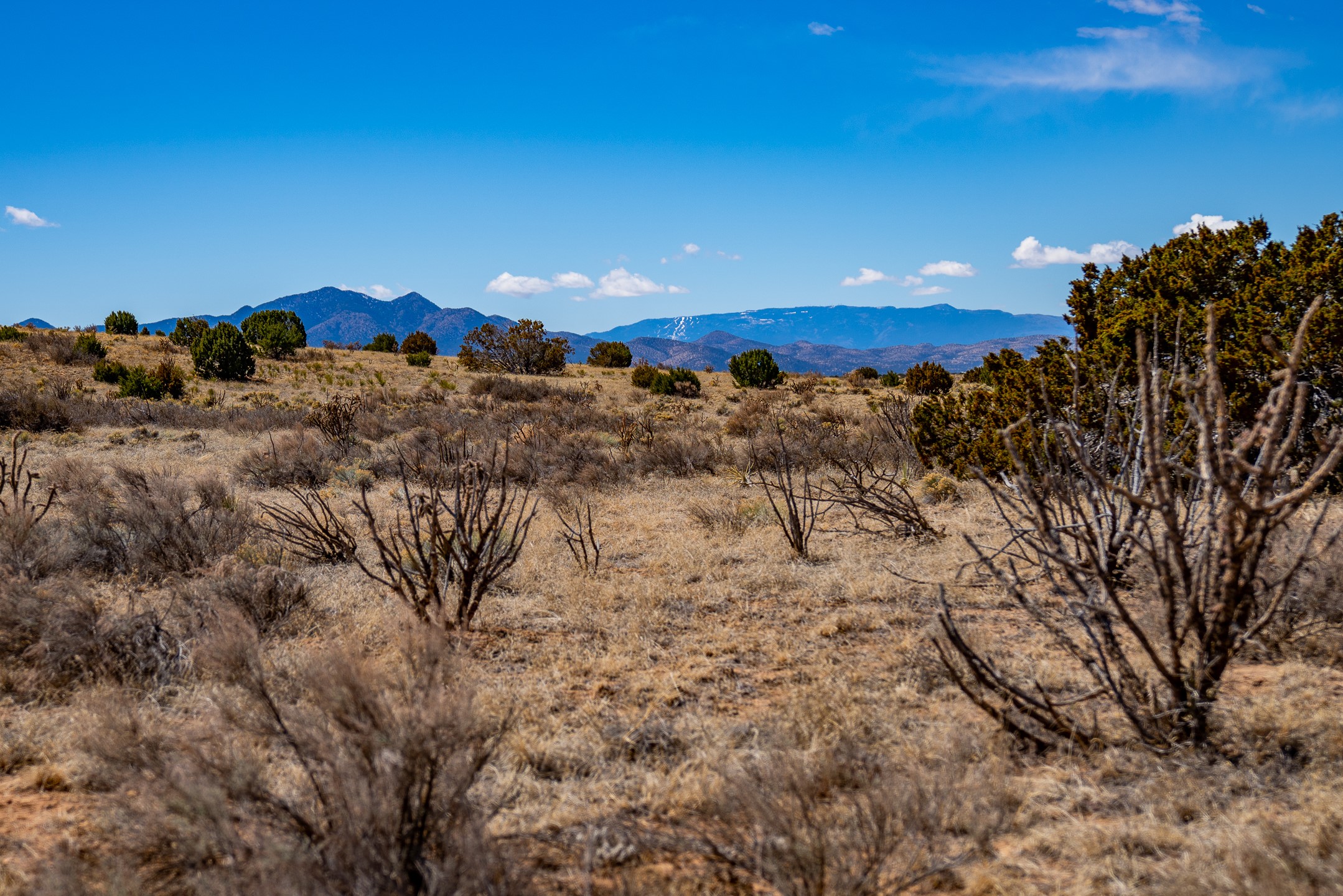Open sagebrush land with scattered trees and distant mountain ranges under a blue sky.