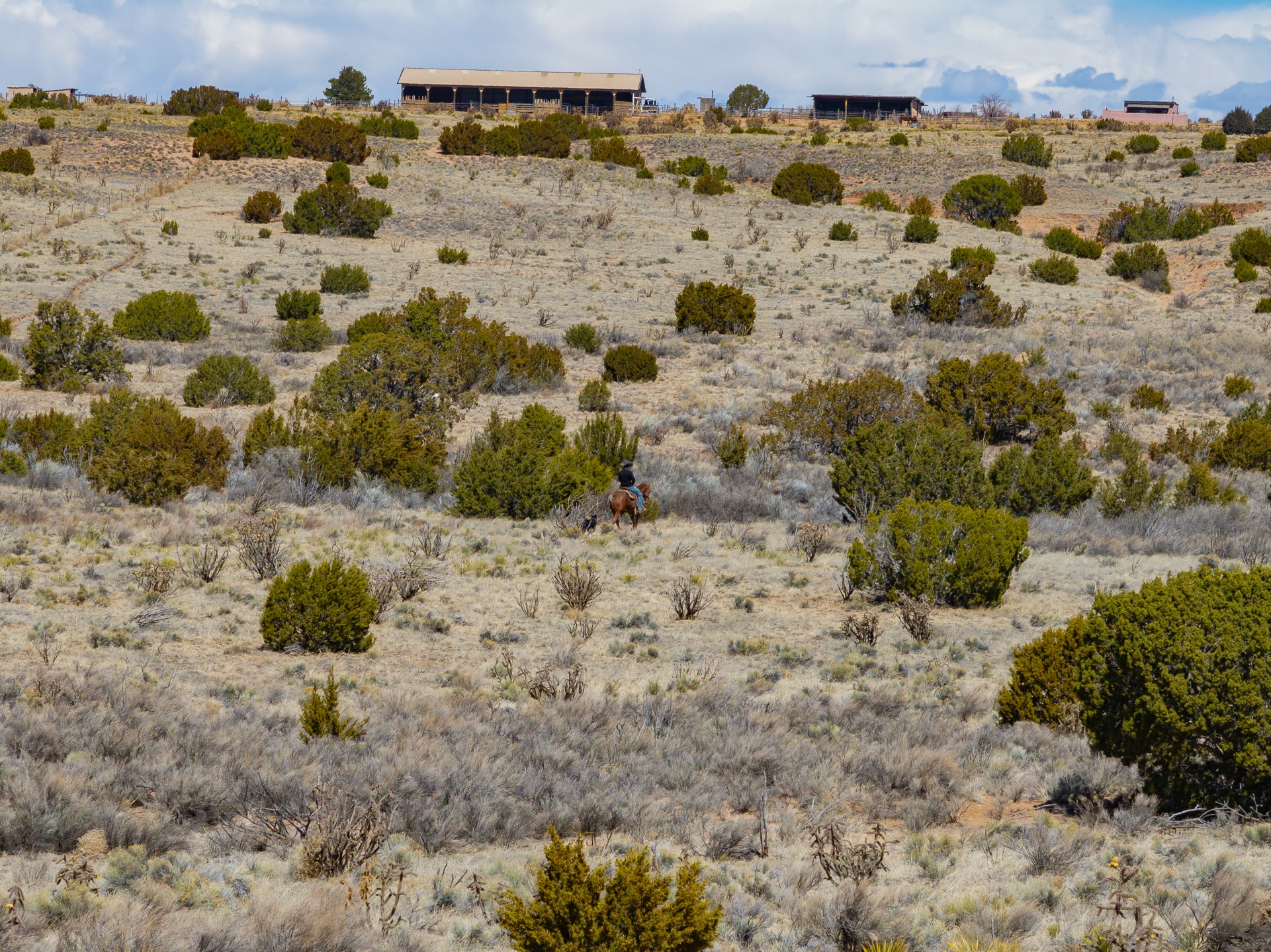 Rolling scrubland with scattered junipers, a horseback rider, and ranch buildings along the ridge.