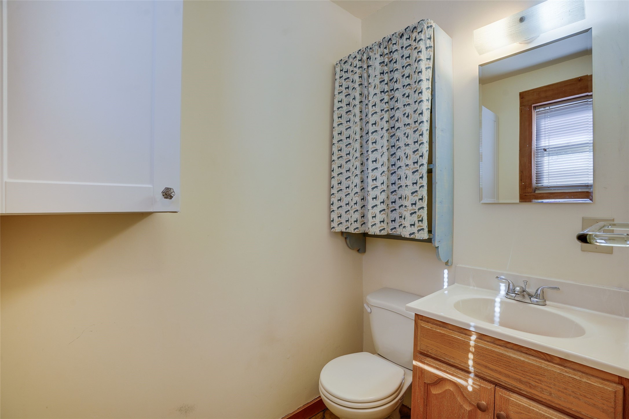 Bathroom with a wood vanity, white sink and toilet, and a cat-print curtain over the window.