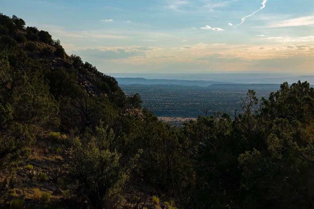 Wooded hillside overlooking a broad valley and distant mountain ridges.