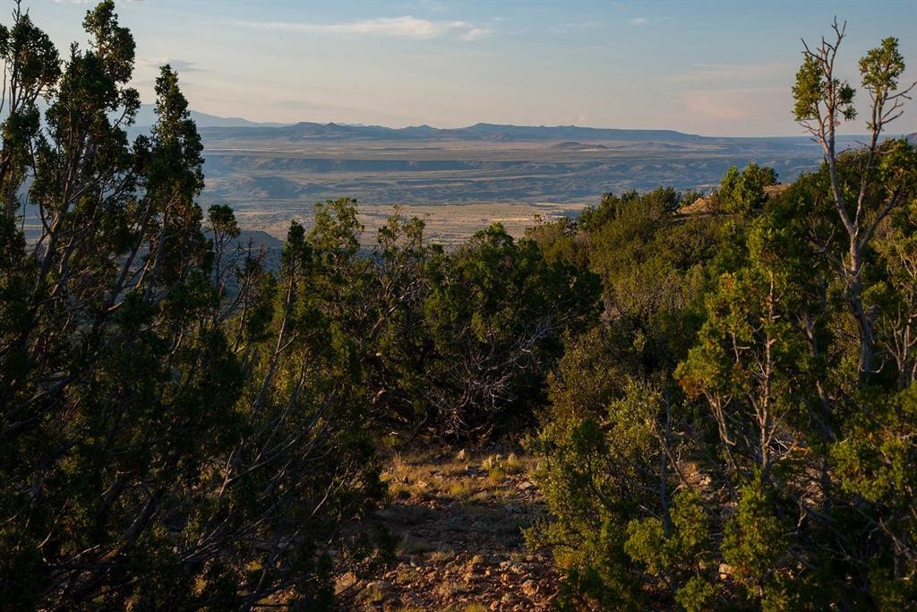 Valley and distant mountain ridges framed by evergreen trees and rocky terrain.