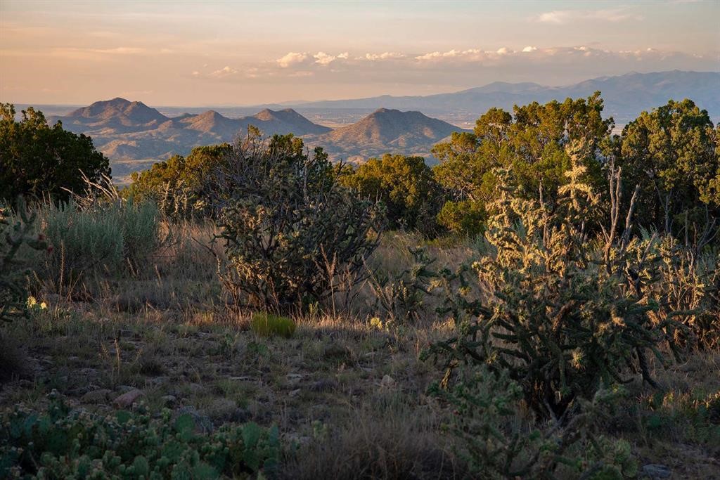 Rugged high-desert land with juniper and shrubs overlooking distant mountains in evening light.