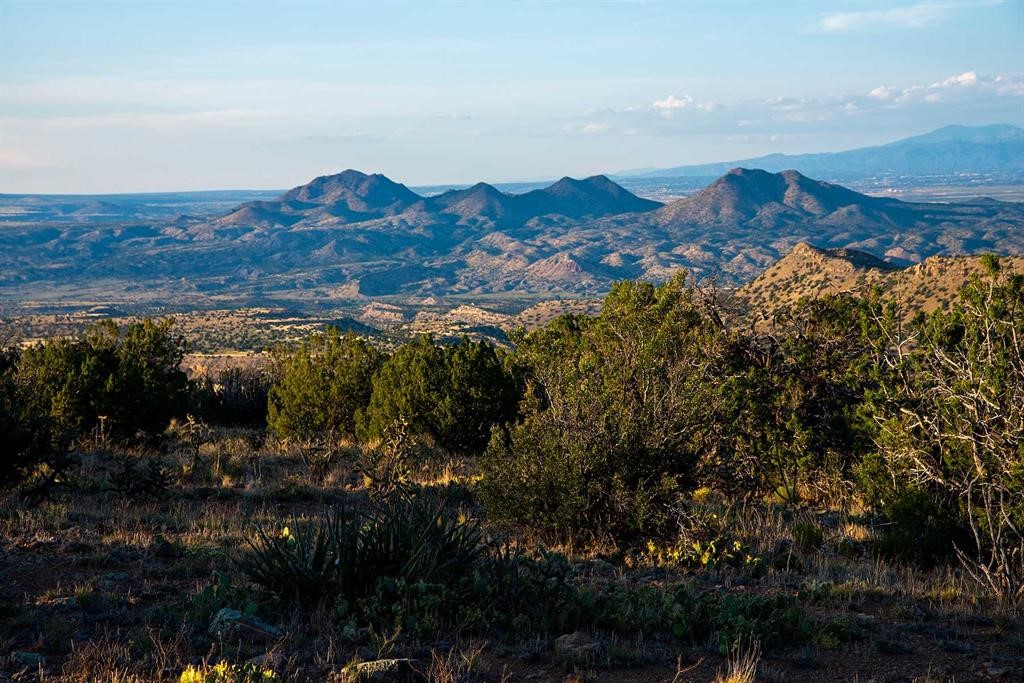 Mountain ranges beyond scrub-covered hills and juniper in the foreground.
