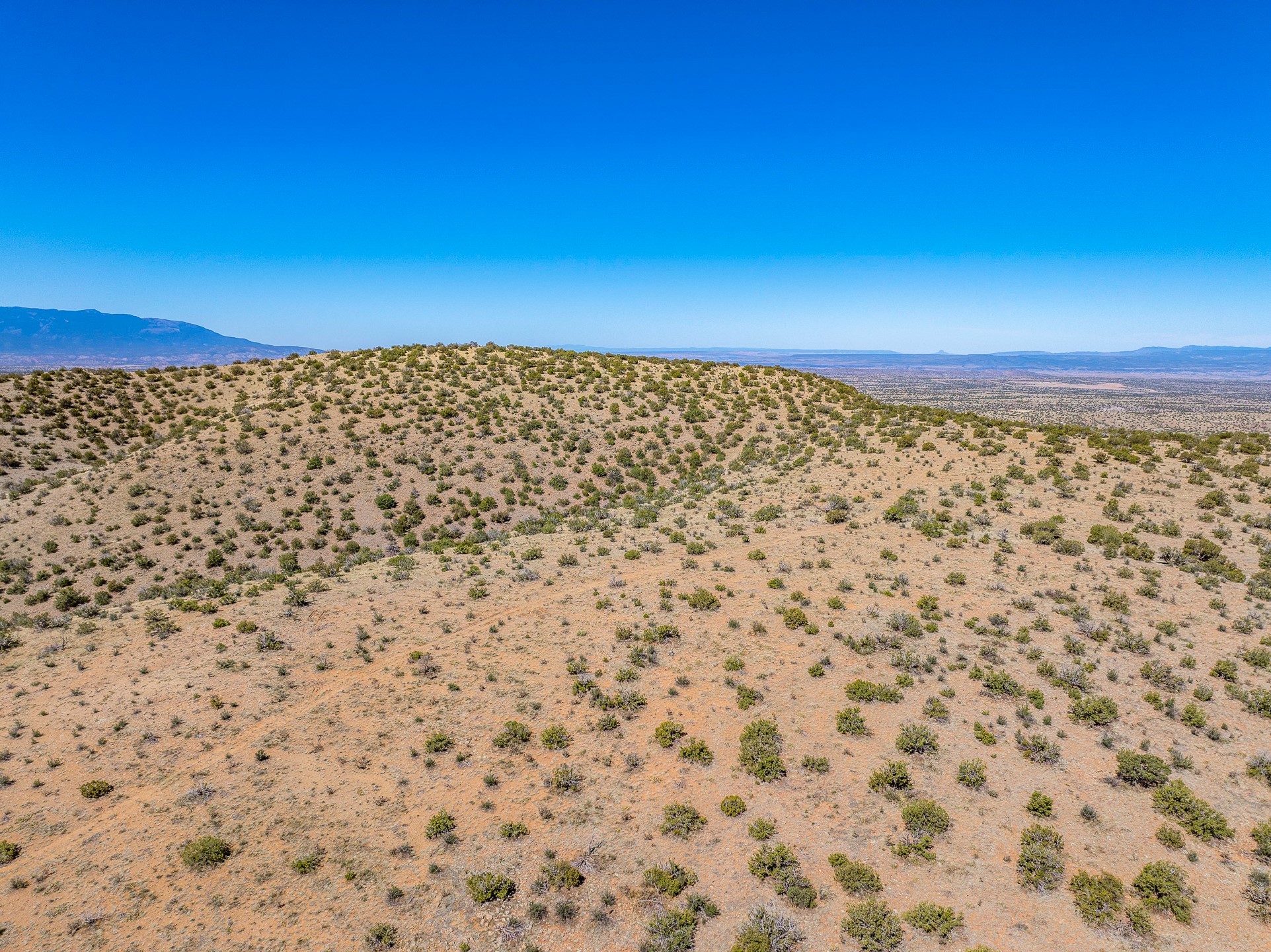 Aerial view of rolling desert land dotted with shrubs, with distant mountains.