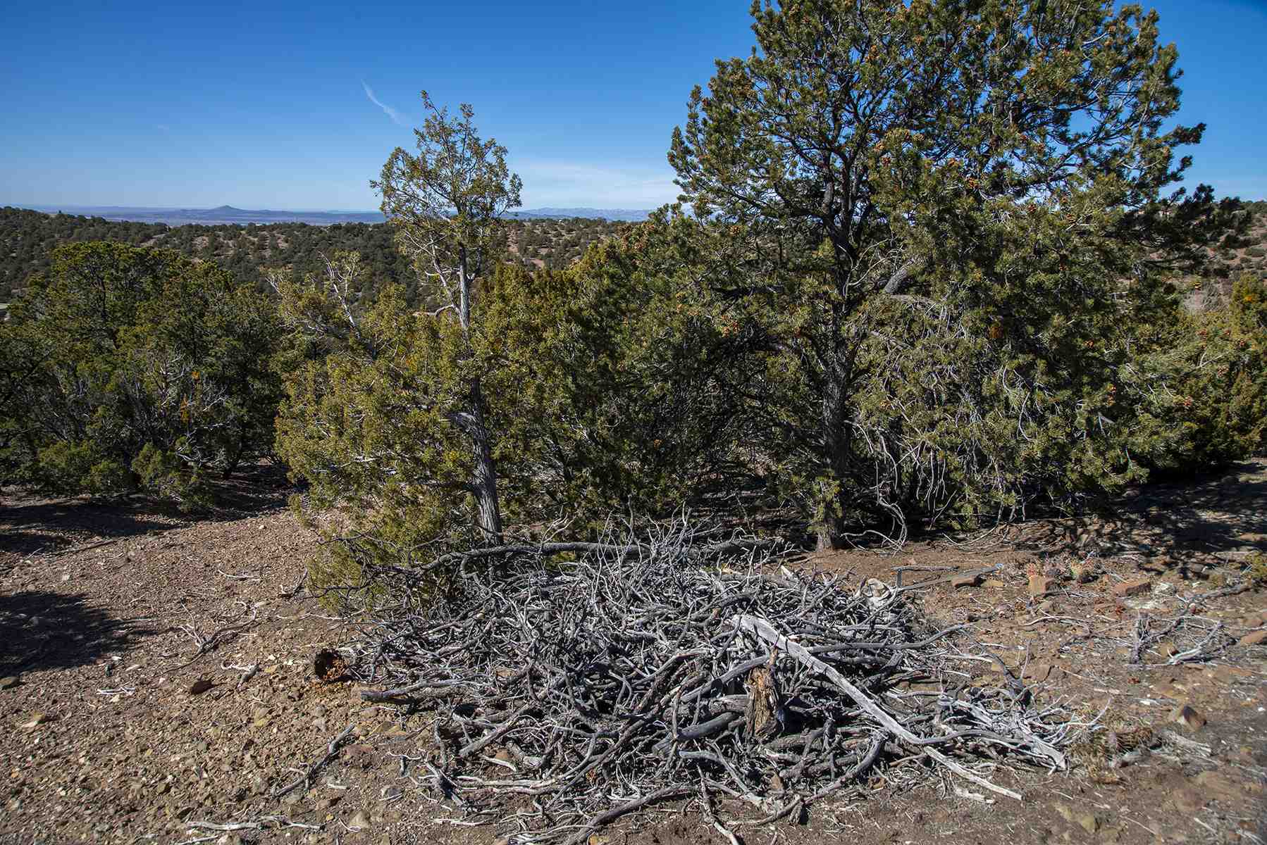 Lot 79 Cerro Escondido