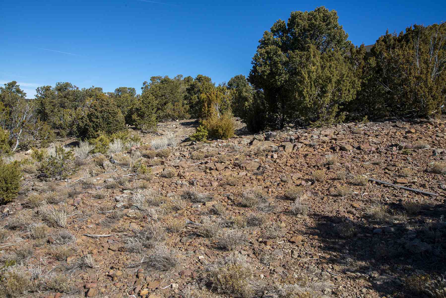 Lot 79 Cerro Escondido