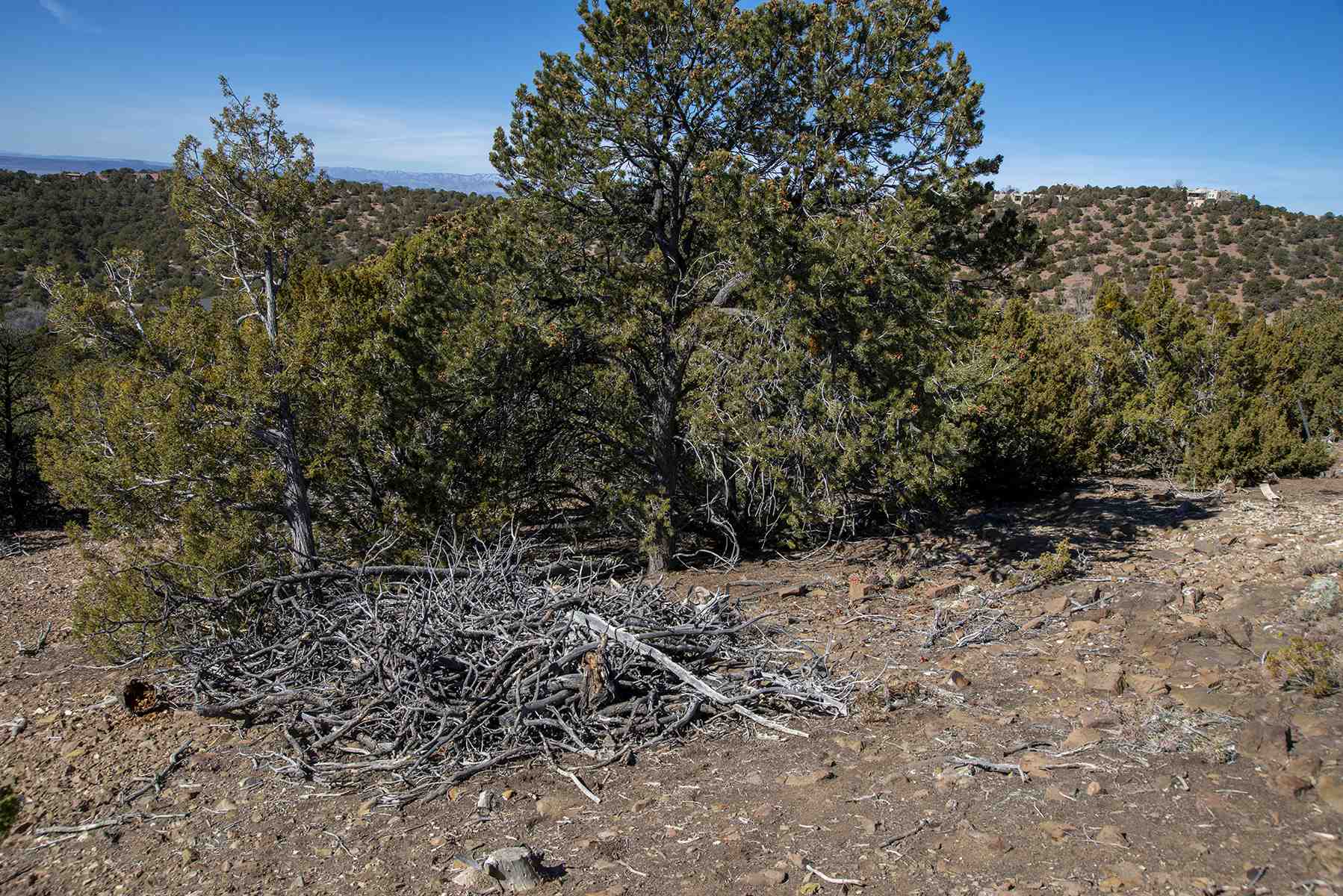 Lot 79 Cerro Escondido