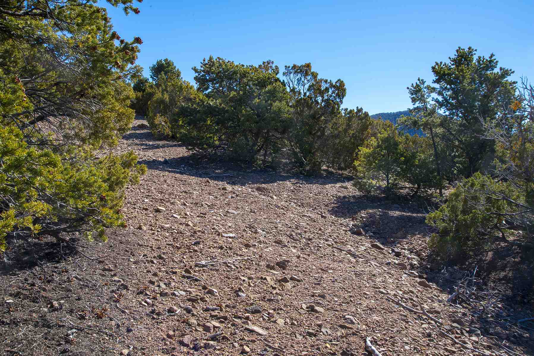 Lot 79 Cerro Escondido