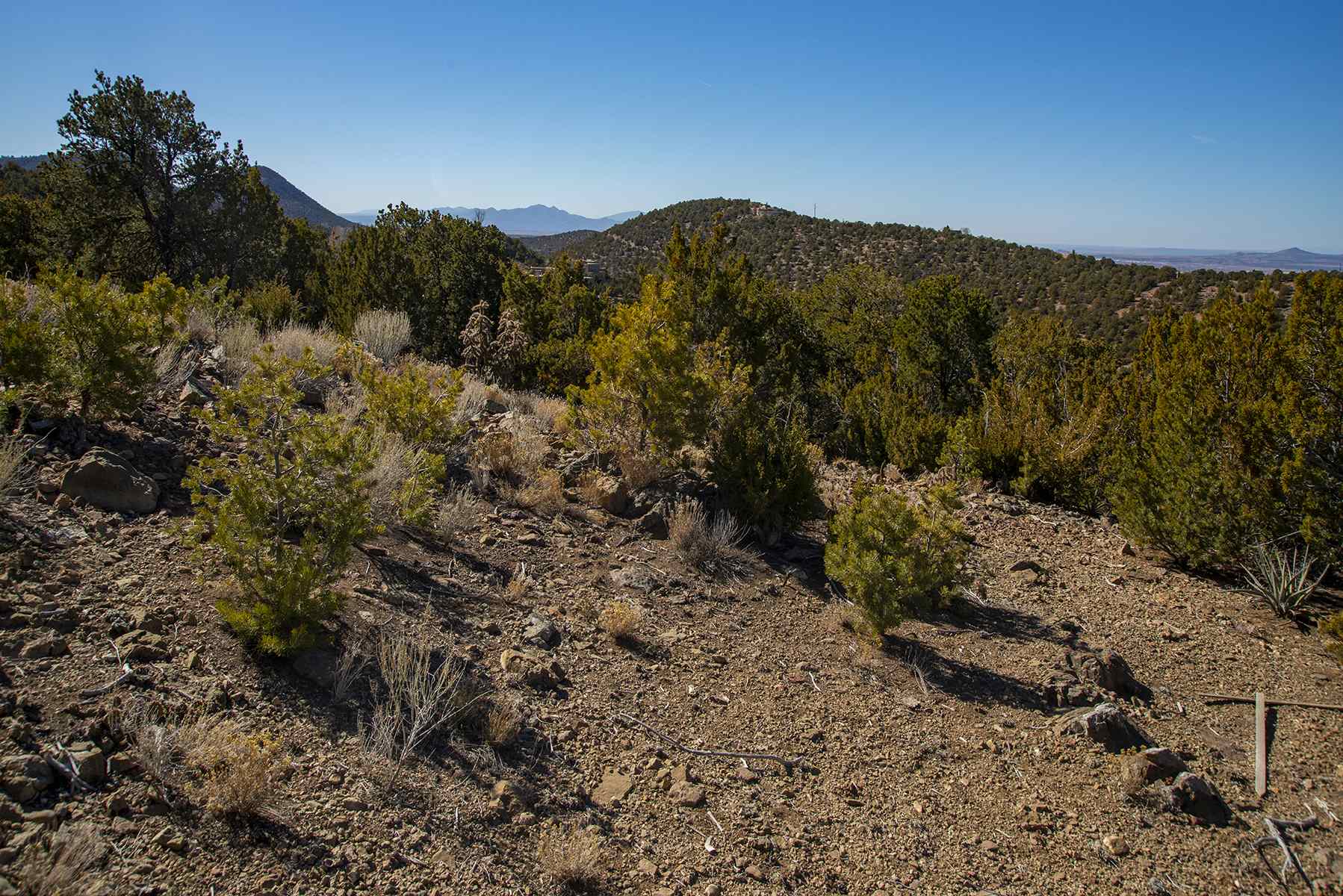 Lot 79 Cerro Escondido