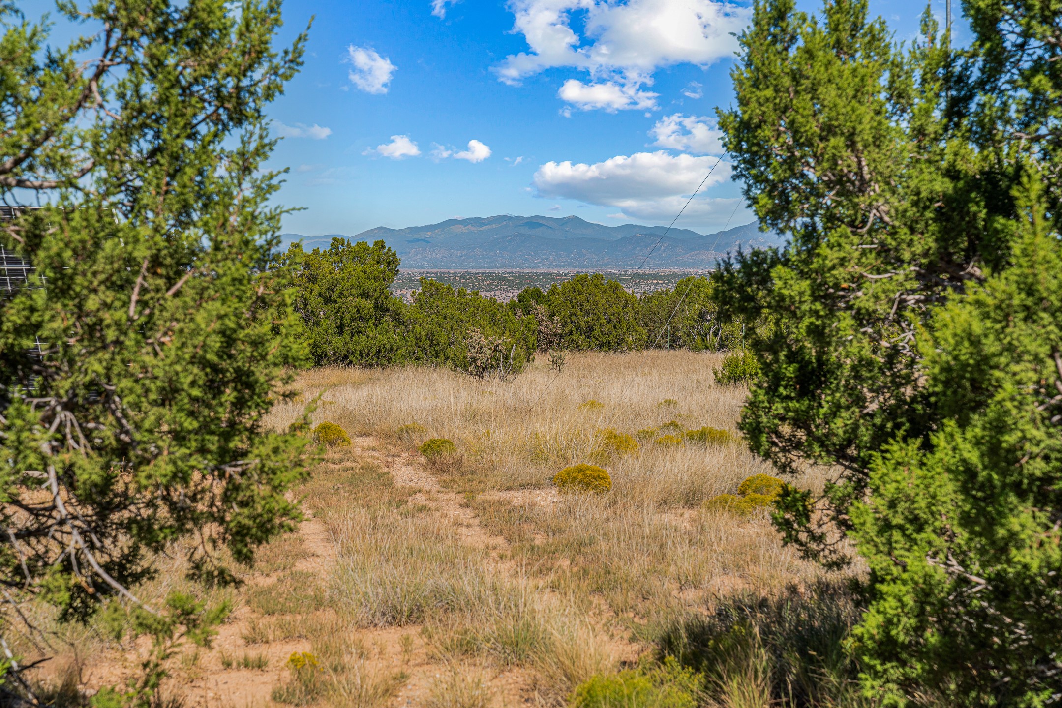 Grassy property lot framed by evergreens, with distant mountain views.