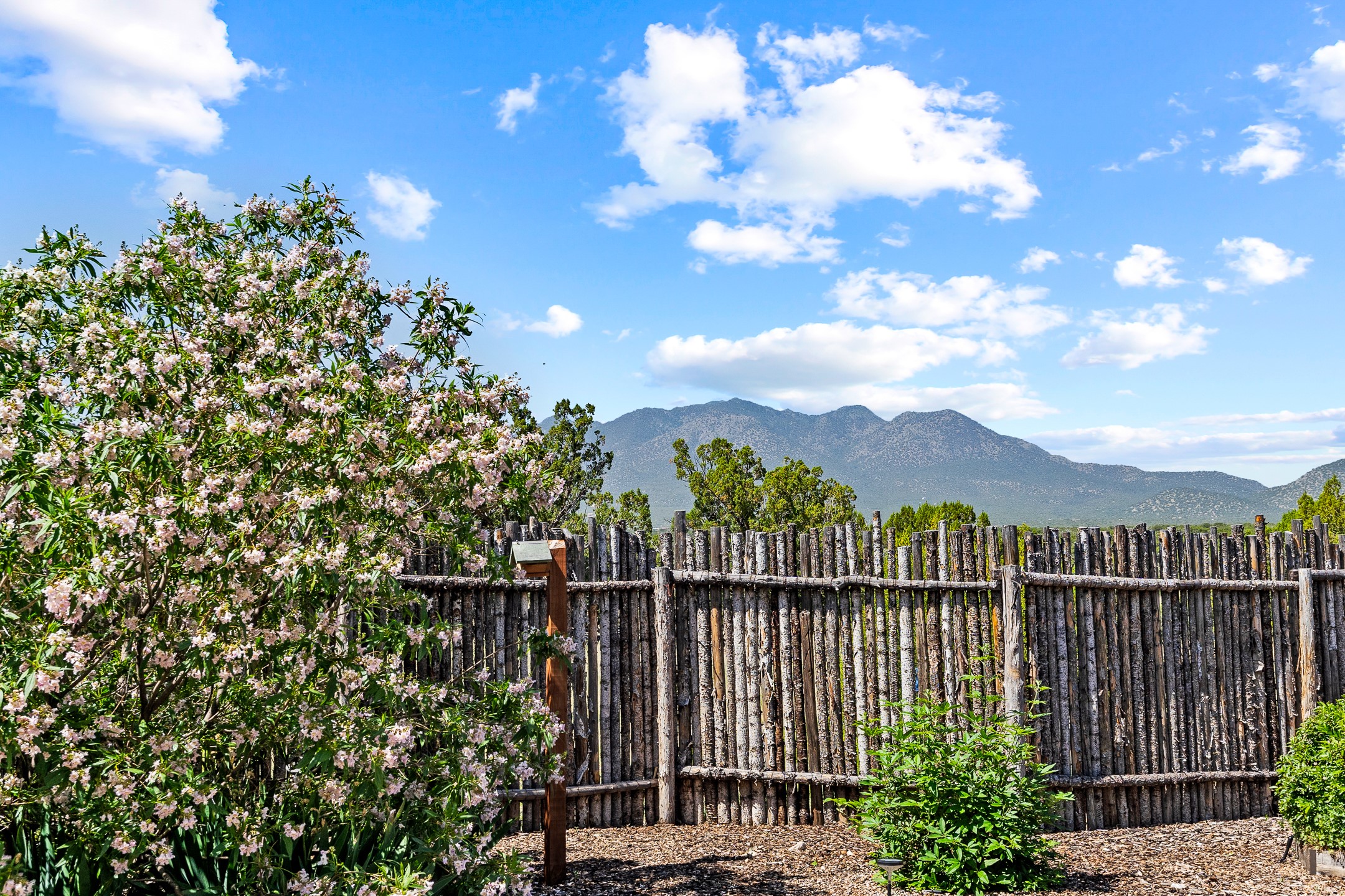 Rustic log fence and flowering shrubs frame a mountain view.