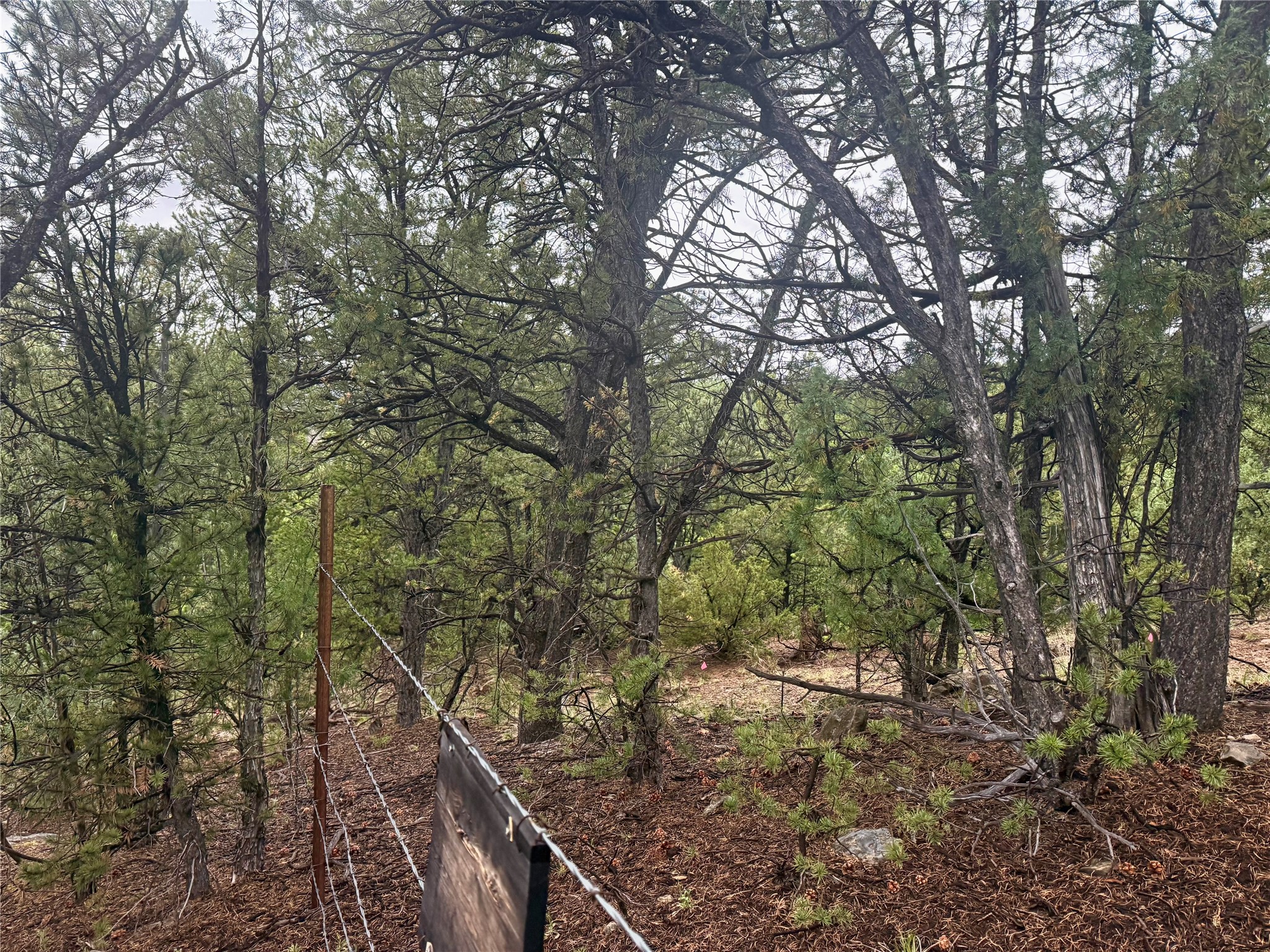 1 Acre Highway 63