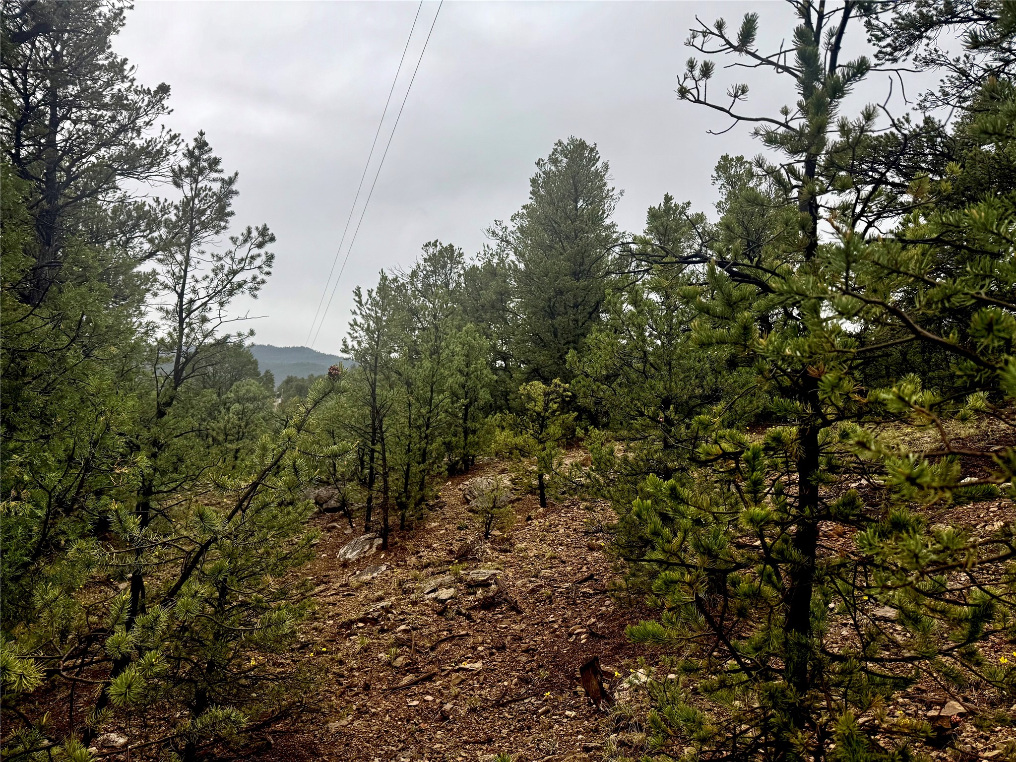 1 Acre Highway 63