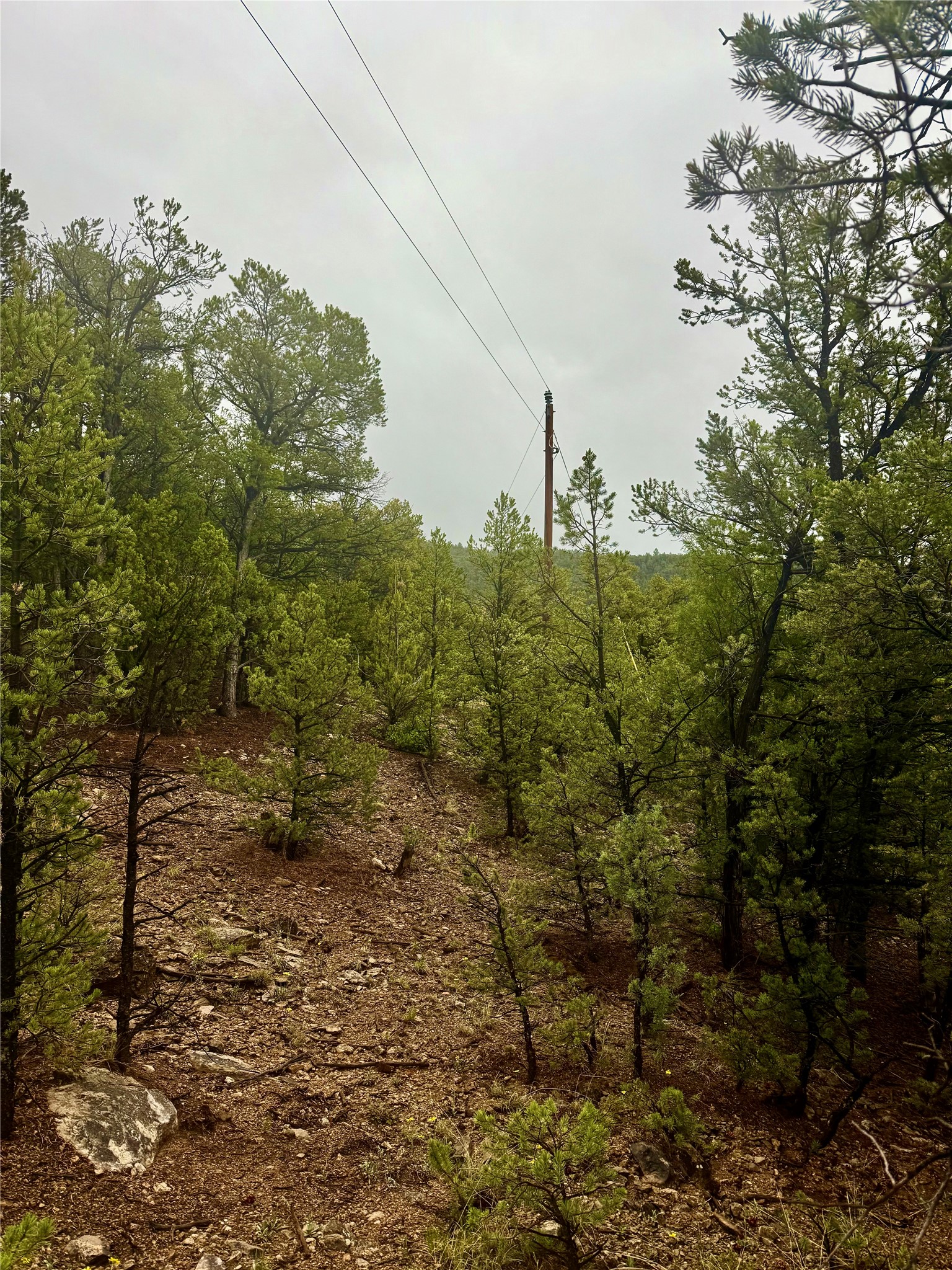 1 Acre Highway 63