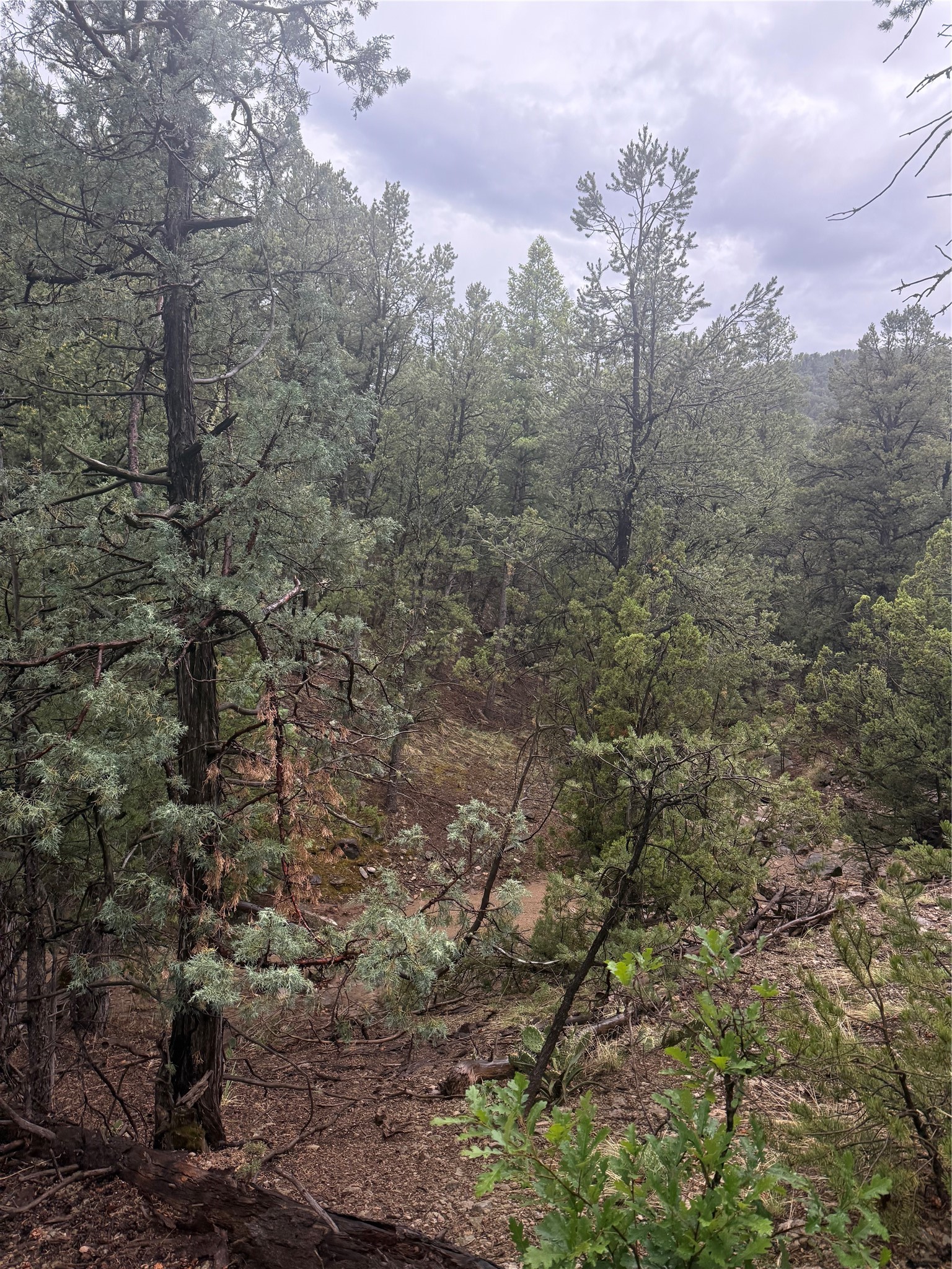 1 Acre Highway 63