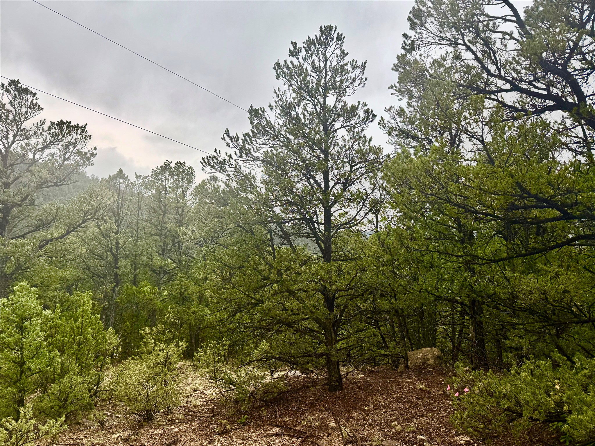 1 Acre Highway 63