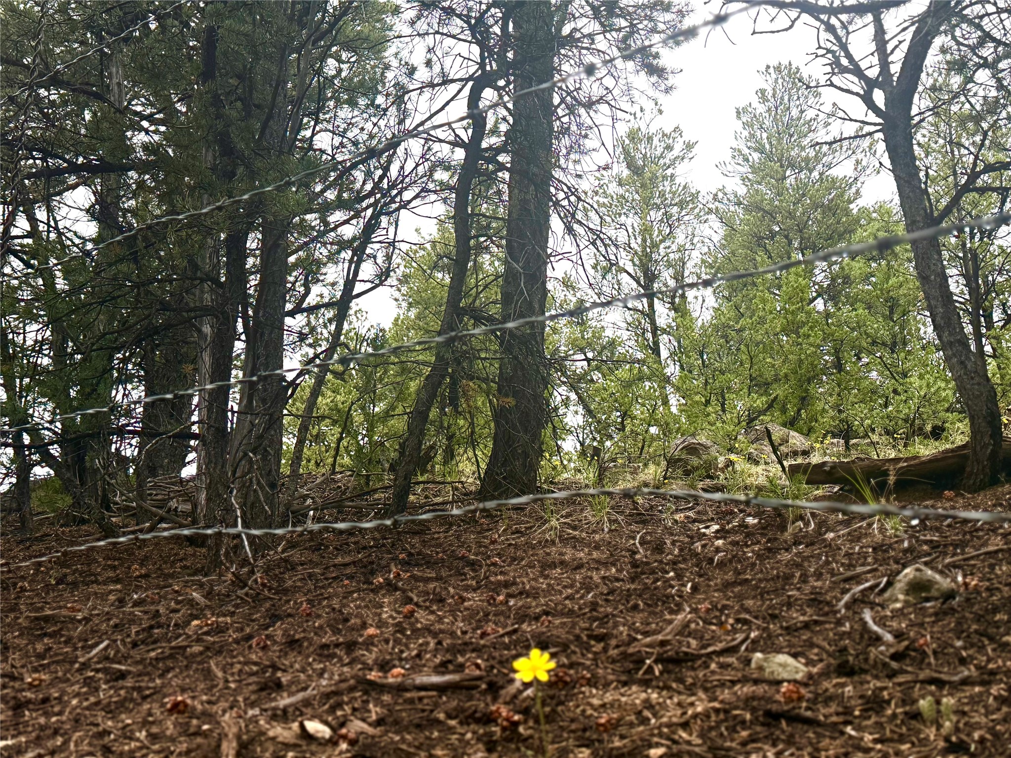 1 Acre Highway 63