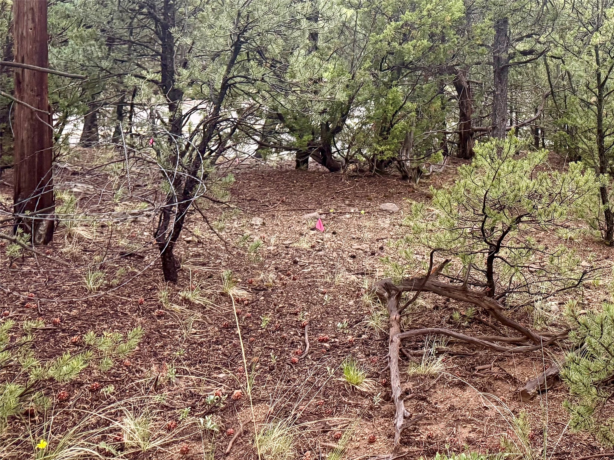 1 Acre Highway 63