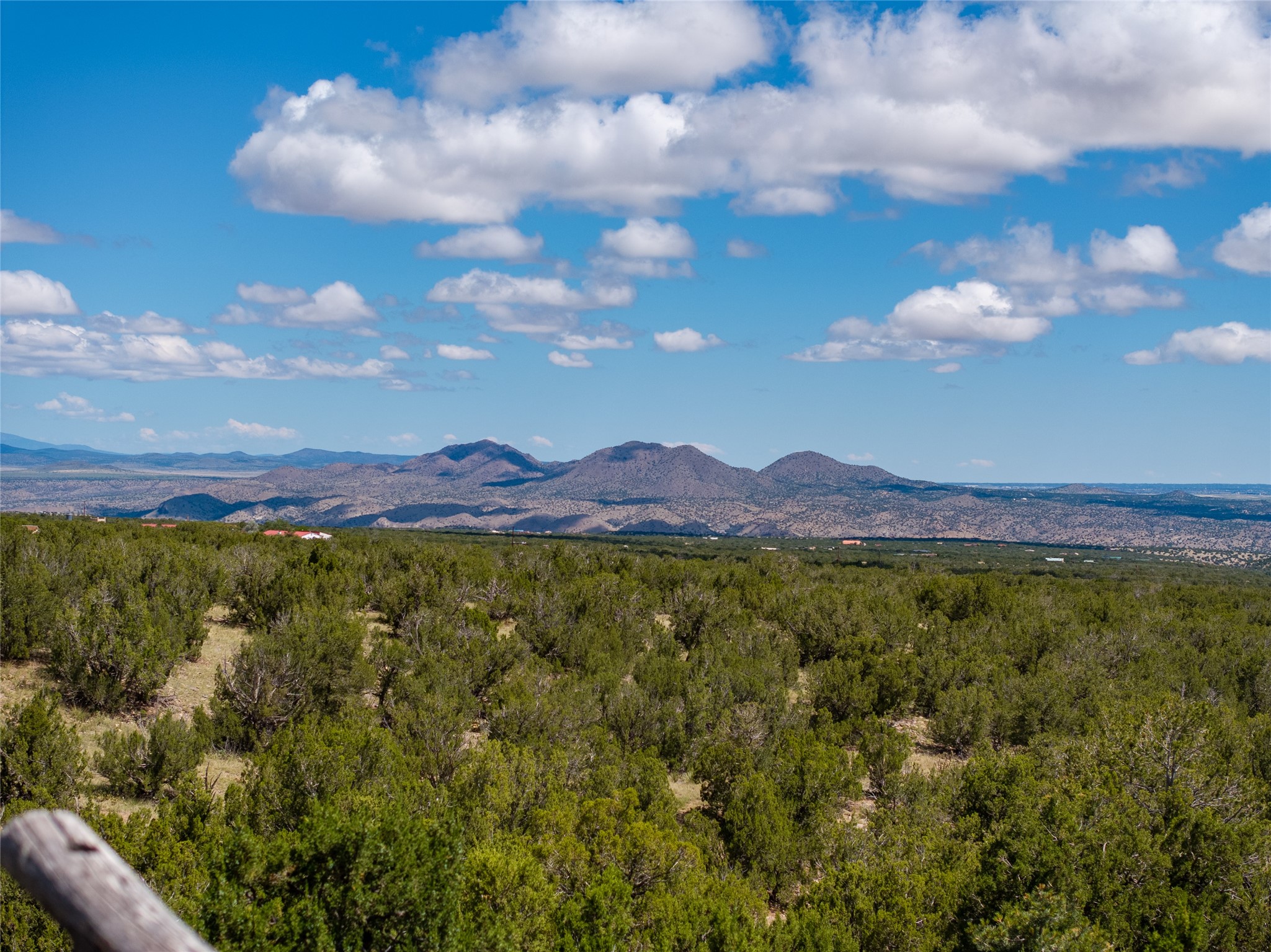 15 Corazon De Oro