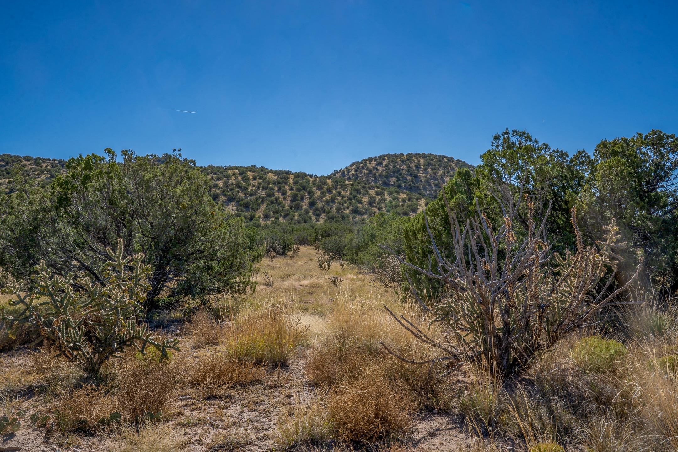 2 Trigg