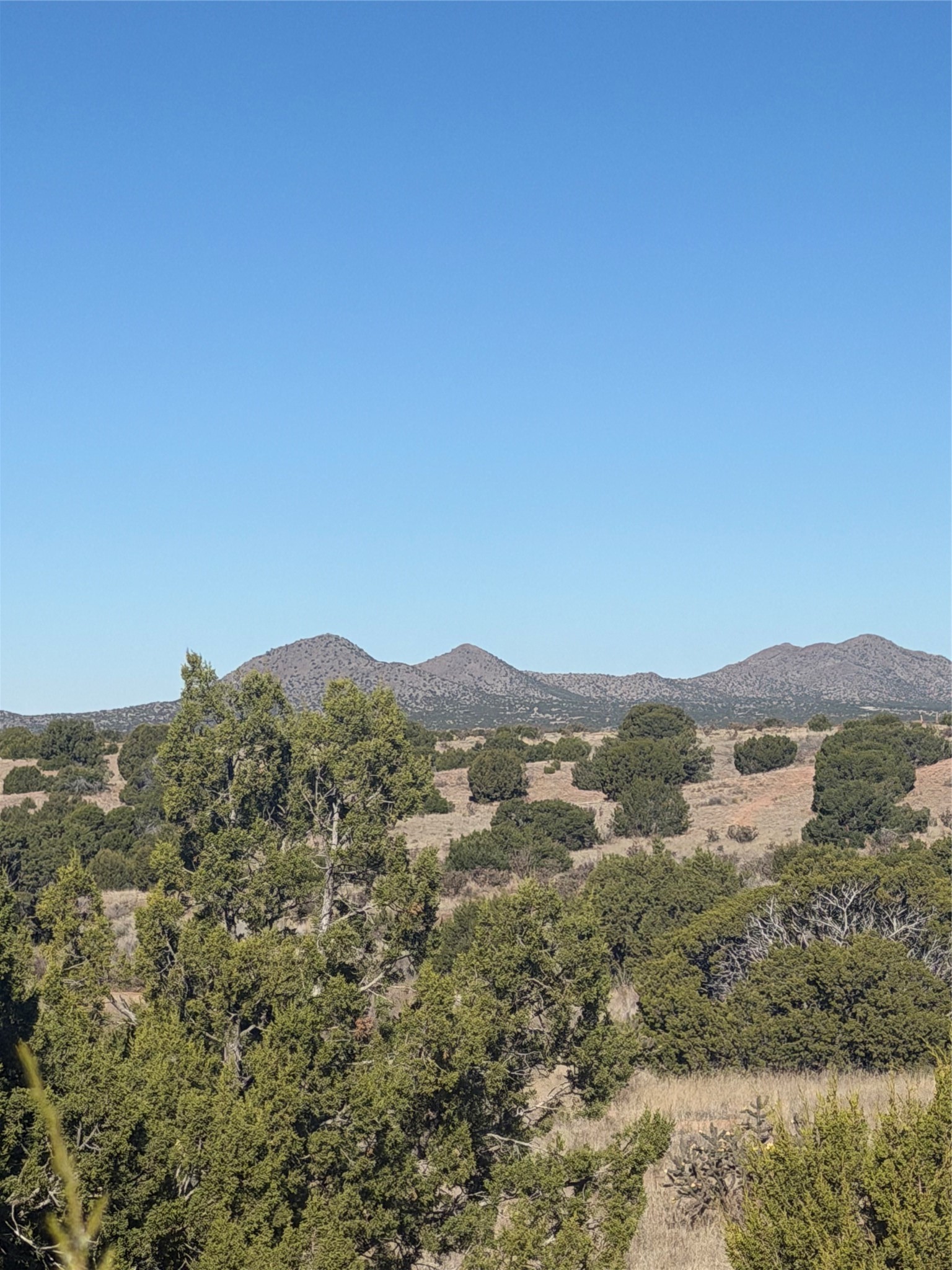 Undeveloped land with juniper trees and dry grass, backed by rocky mountain peaks.