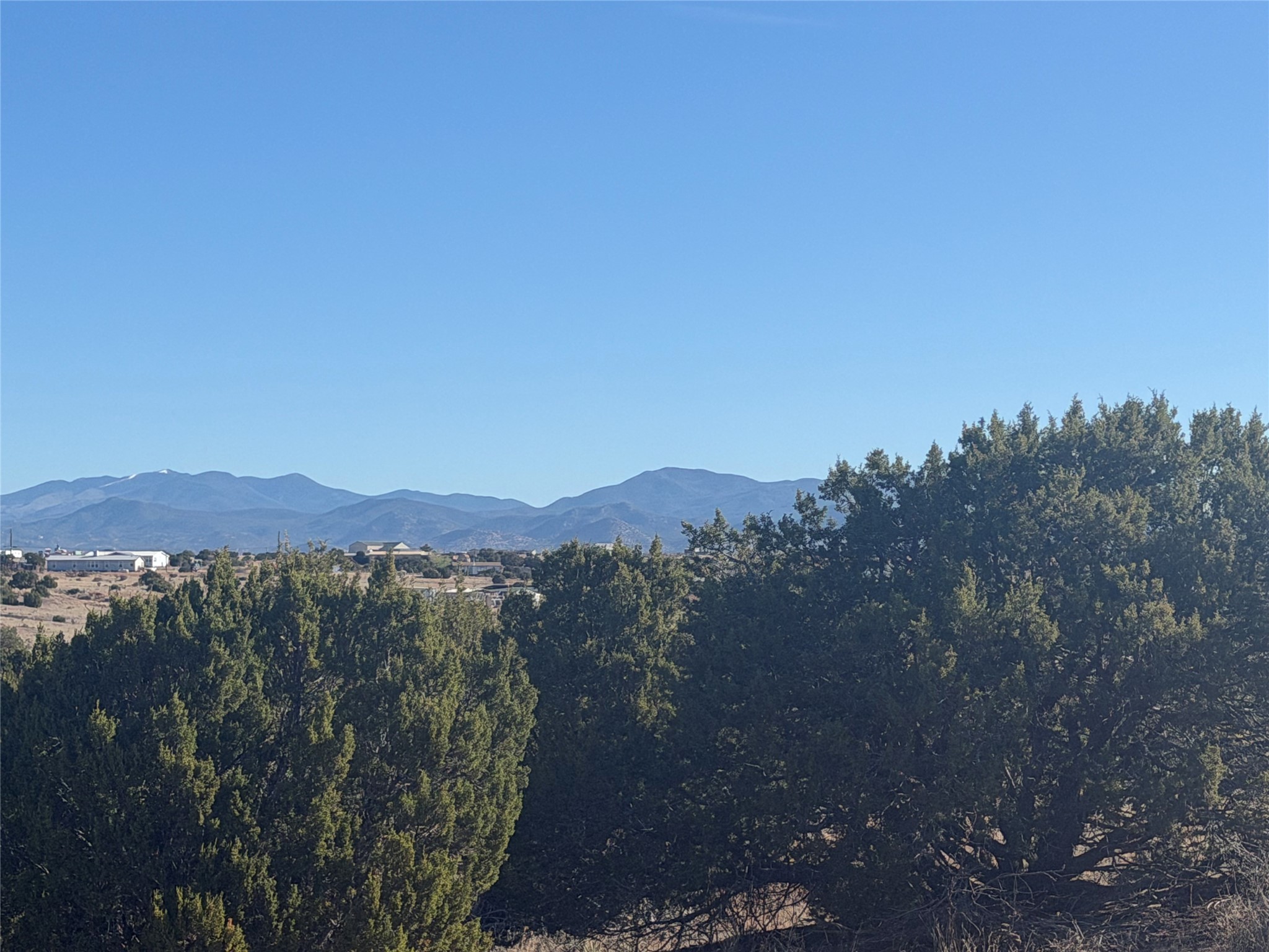 Mountain range beyond evergreen trees and scattered buildings under a clear blue sky.