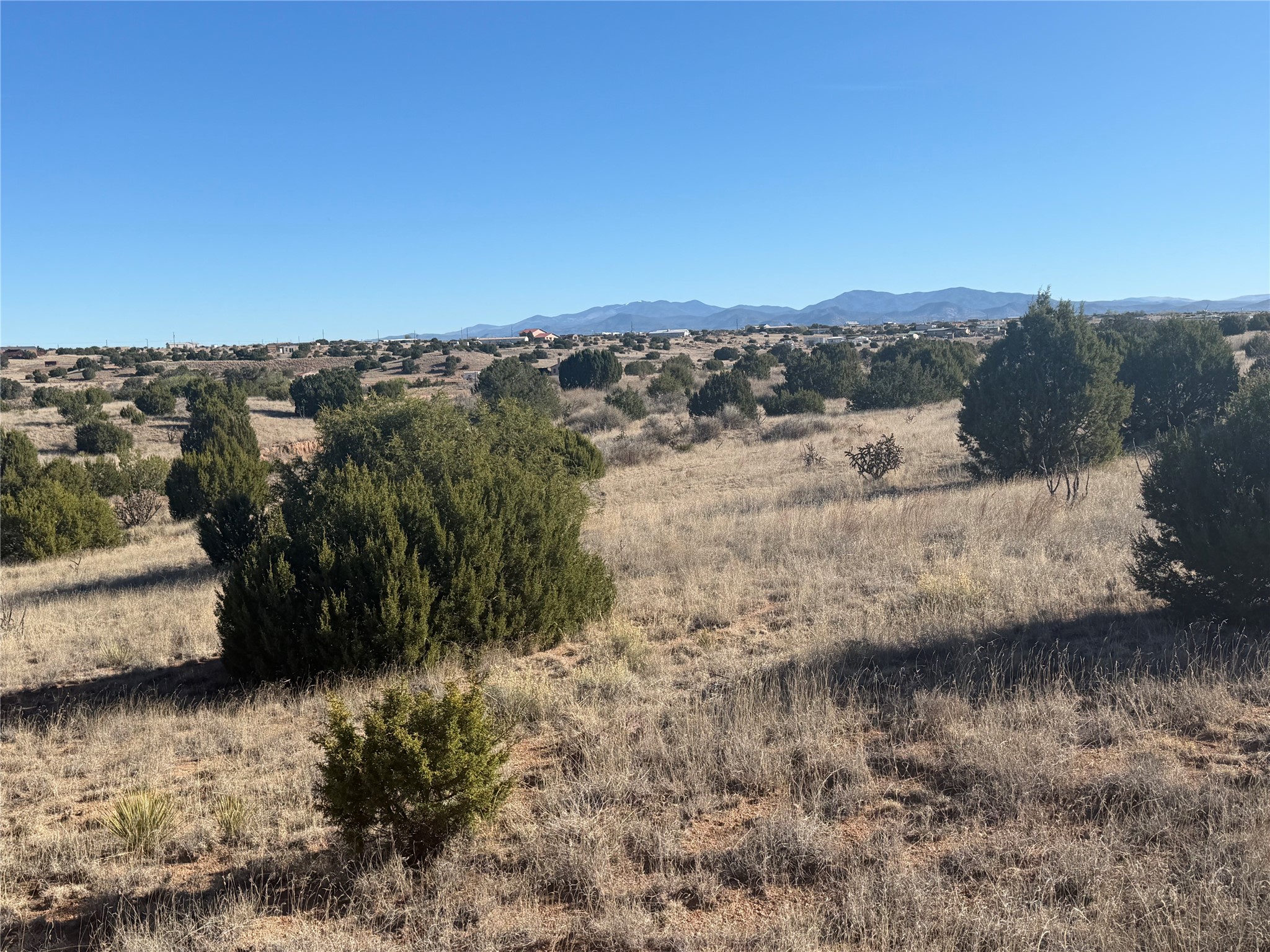 Undeveloped grassy lot with juniper shrubs and distant mountain views.