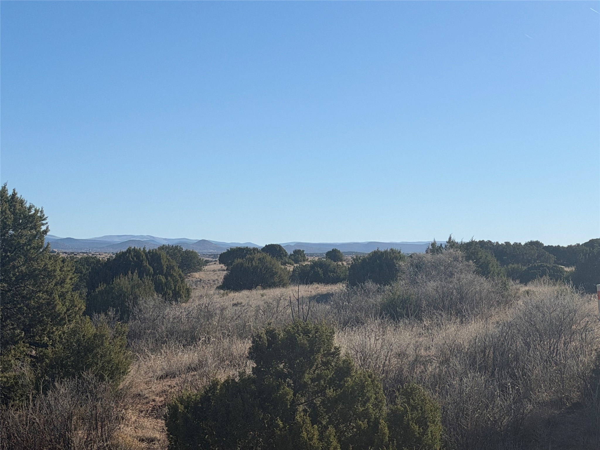 Open scrubland with evergreen shrubs and distant mountain ridges under a clear blue sky.