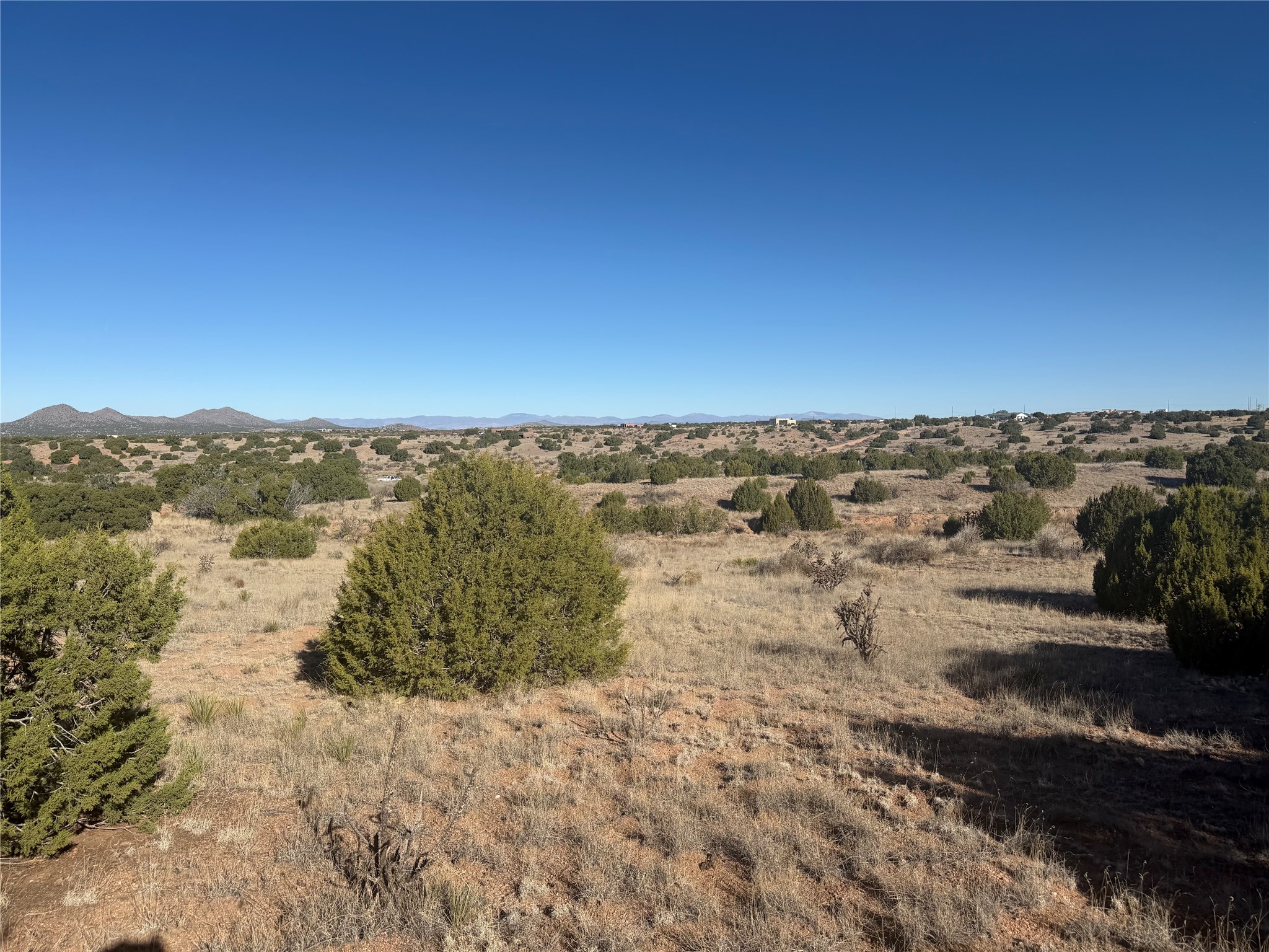 Vacant high-desert land with scattered junipers and distant mountains beneath a clear blue sky.