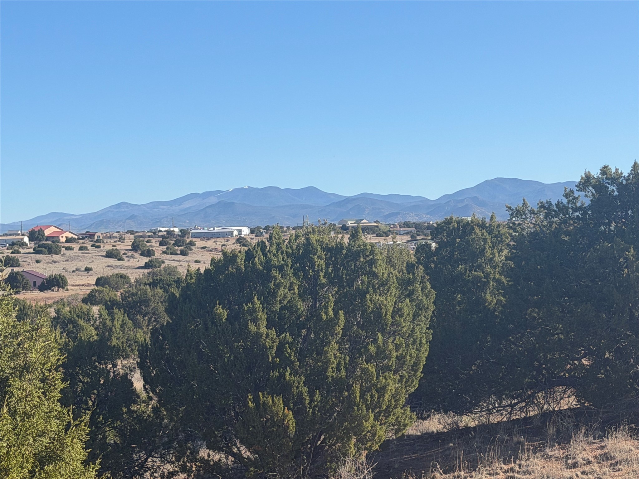 High-desert property with evergreen trees and distant mountain views.