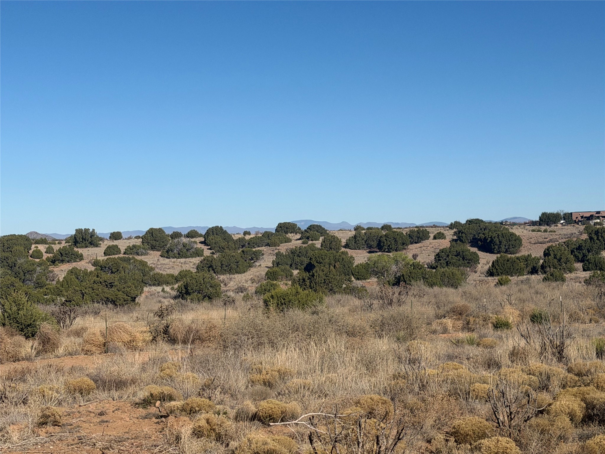 Scrub-covered lot with juniper trees, distant mountains, and a building on the horizon.