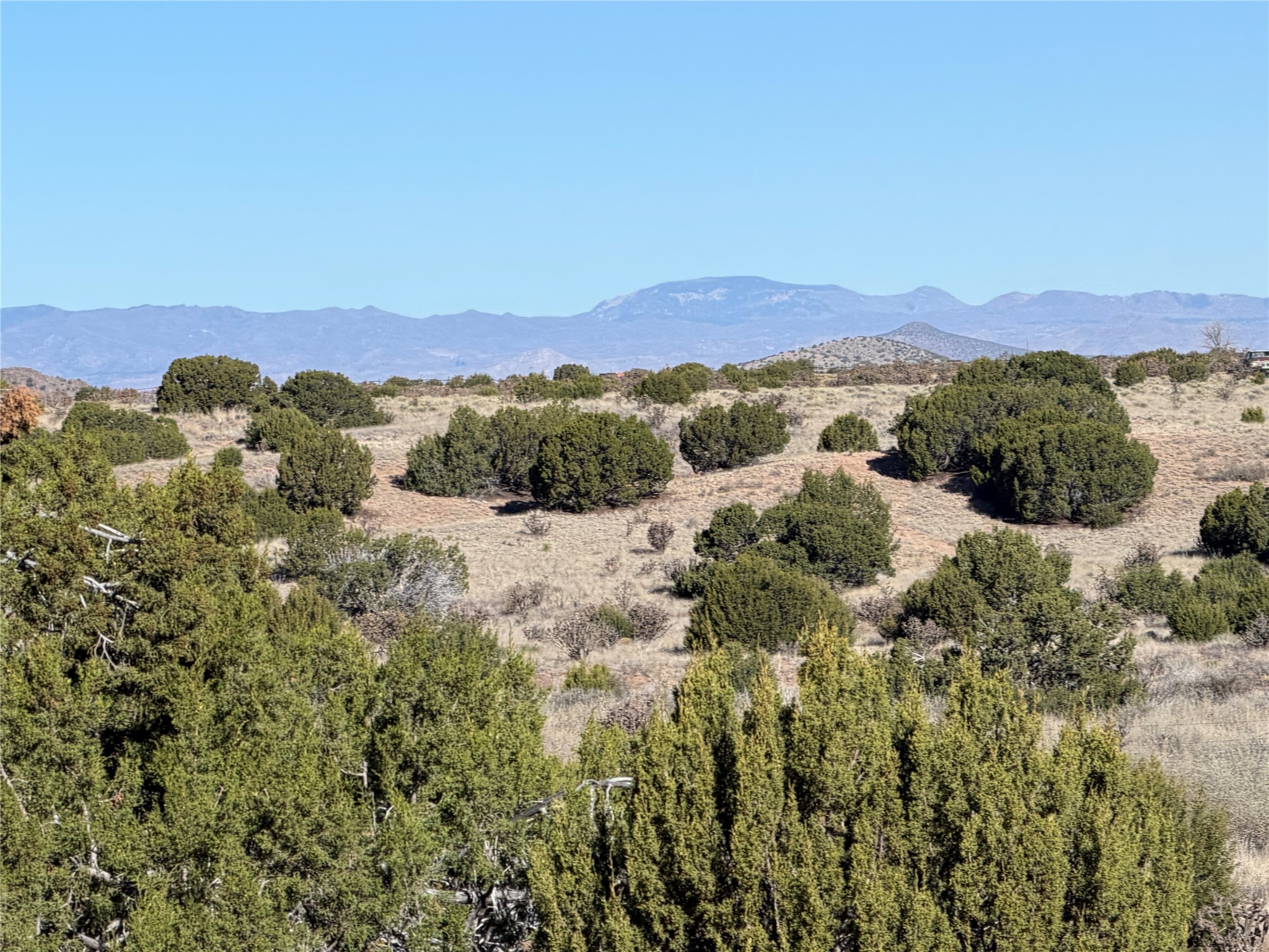 Dry, shrub-dotted land with a distant mountain range beneath a clear blue sky.
