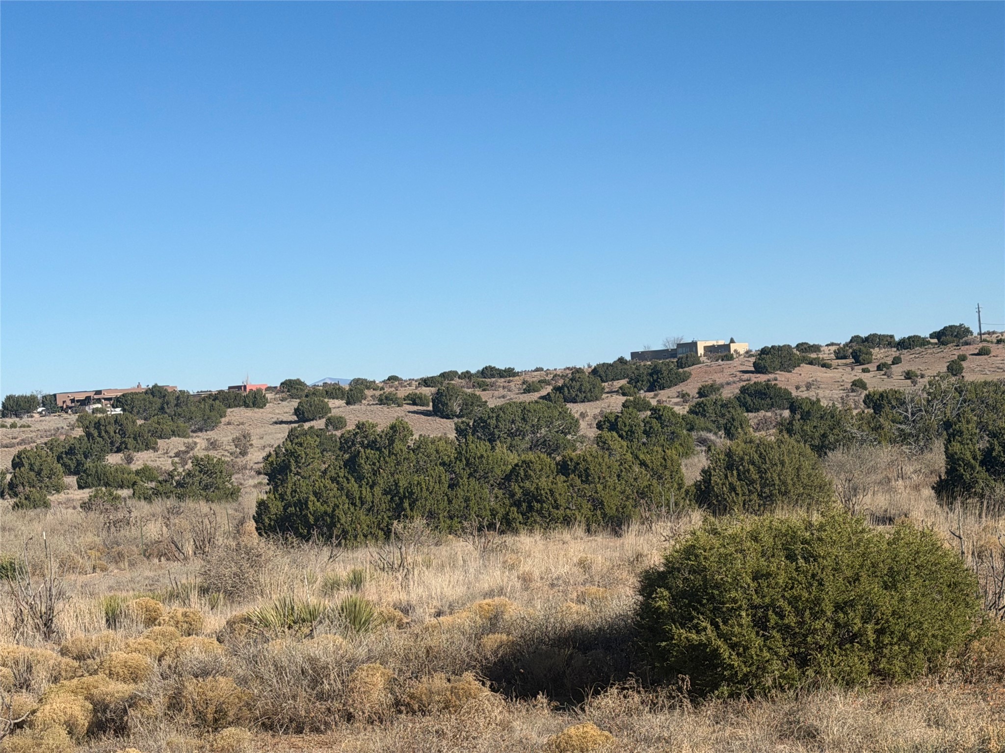 Rolling high-desert hillside with dry grasses, evergreen shrubs, and homes along the distant ridge.