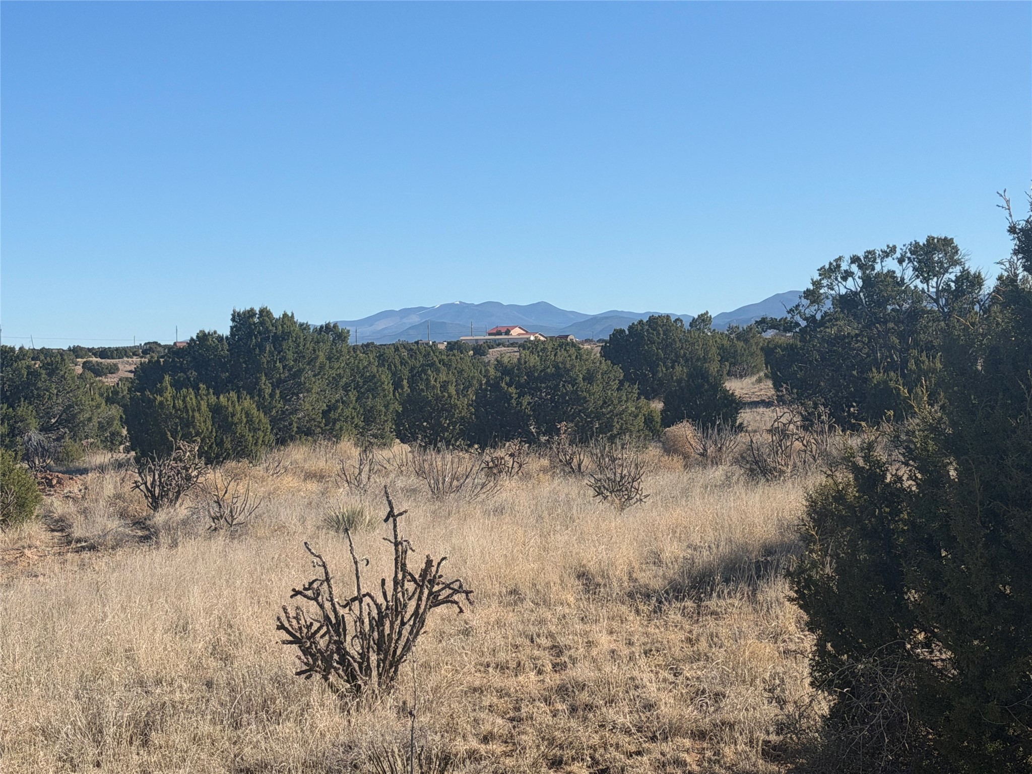 Open grassy property with juniper shrubs and distant mountain views.