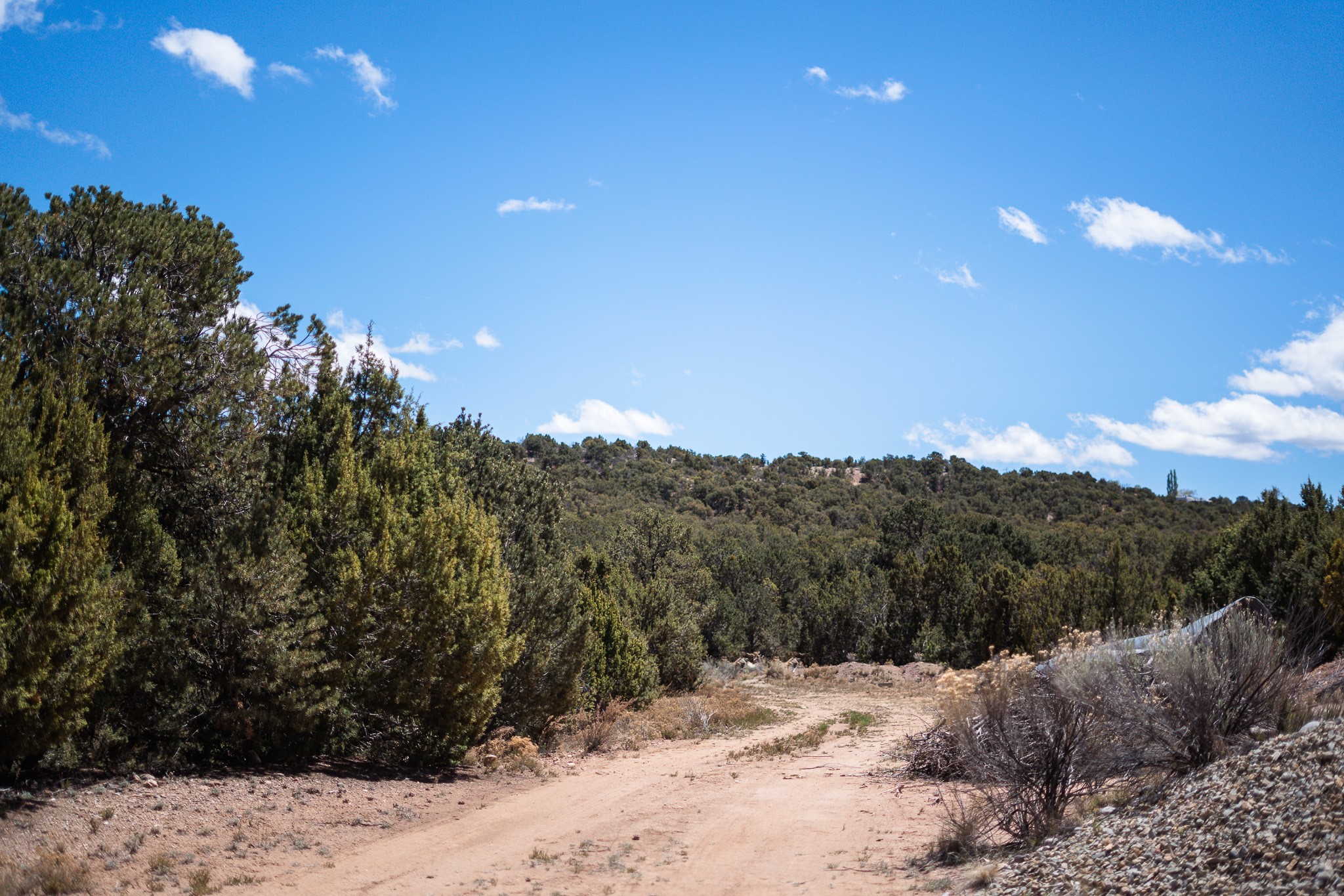Undeveloped land with a sandy track winding through scrub toward a wooded hillside.