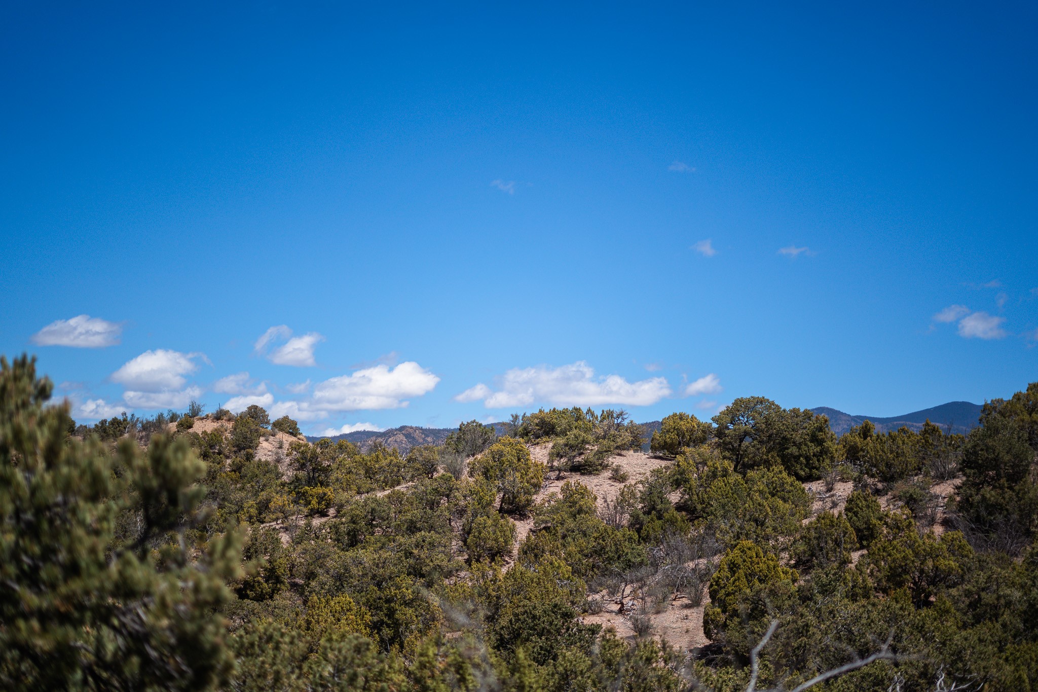 Scrub-covered hillside acreage with distant mountains under a bright blue sky.