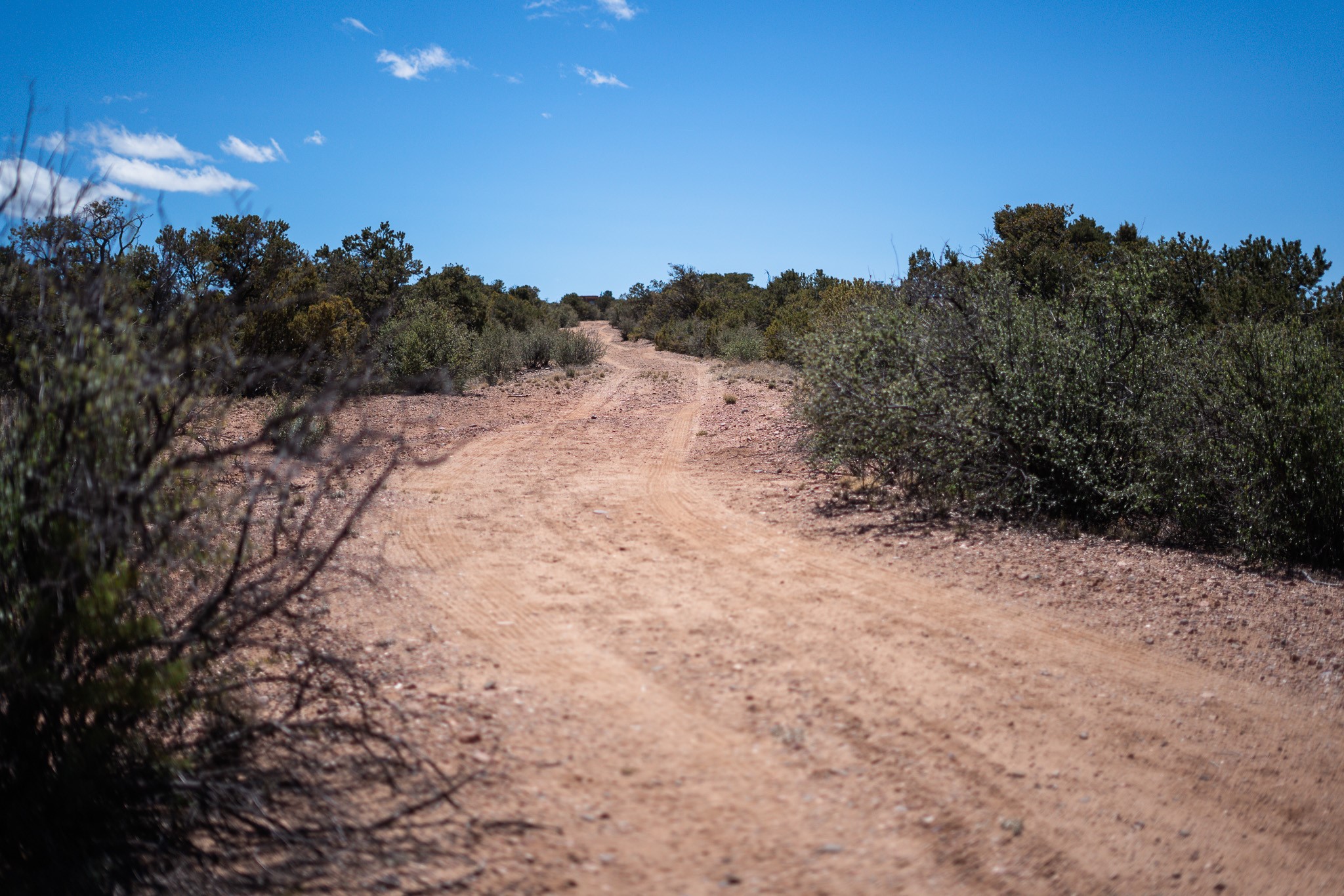 Dirt track winding through dry scrub on the Red Ridge Road property.