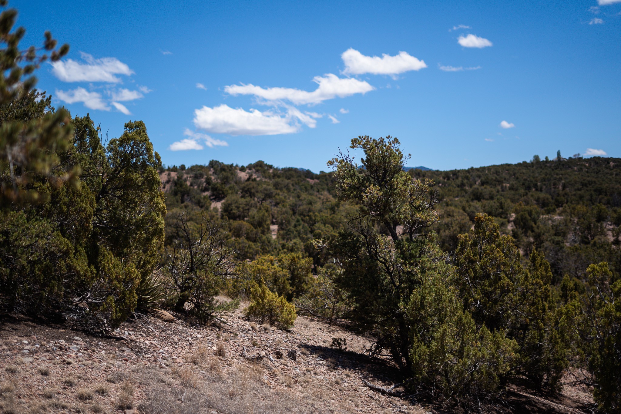 Rocky, juniper-covered acreage with rolling hills beneath a bright blue sky.