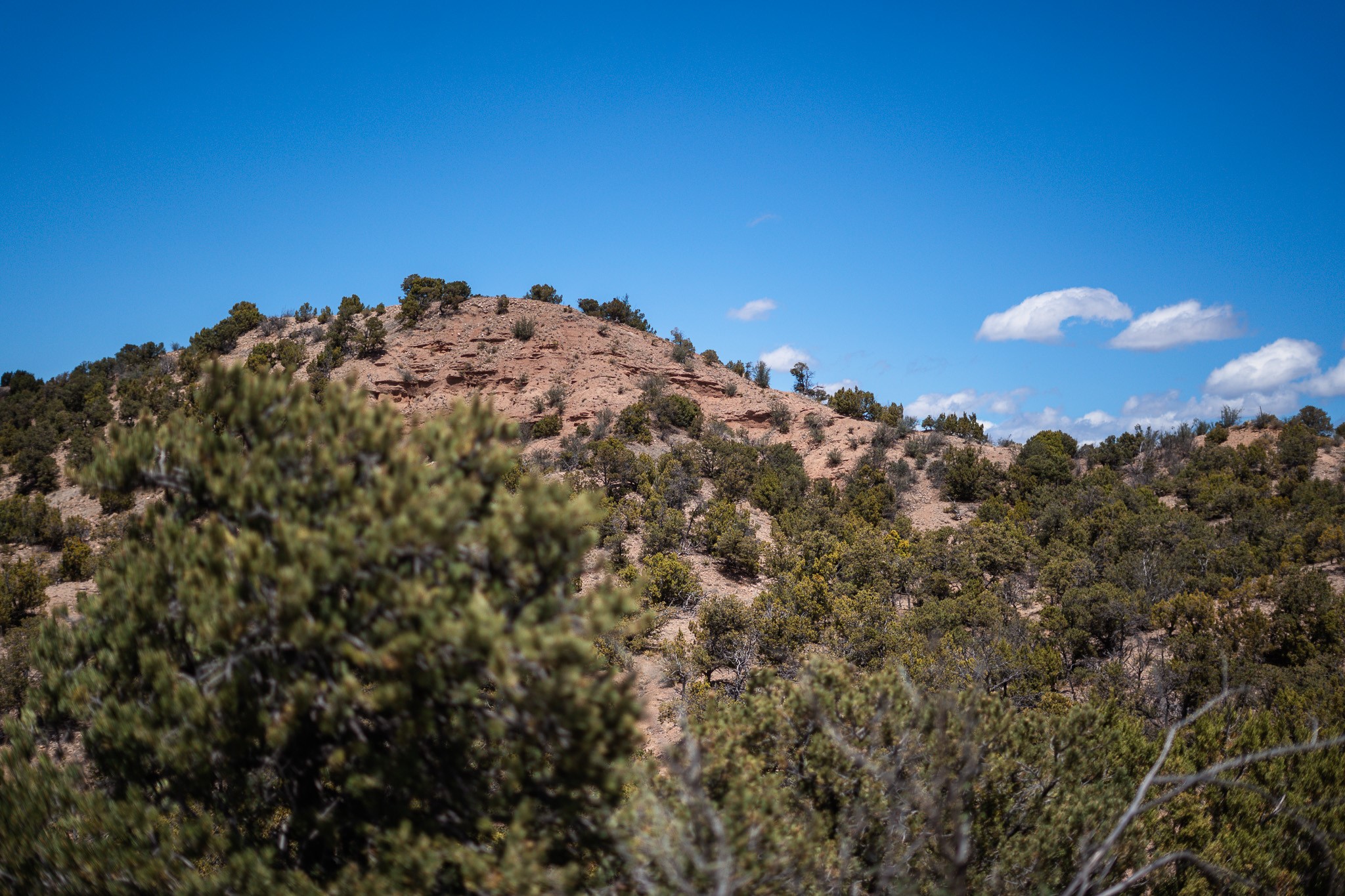 Undeveloped land with a rocky, tree-dotted red hillside and shrubs in the foreground.