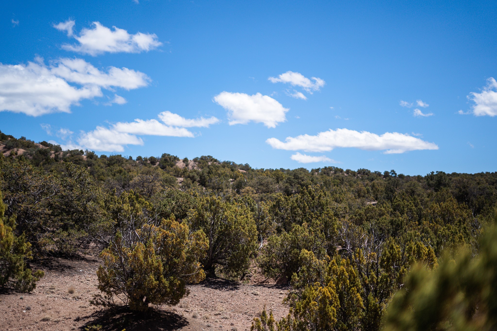 Undeveloped high-desert land with dense shrubs and low hills beneath a blue, cloud-dotted sky.