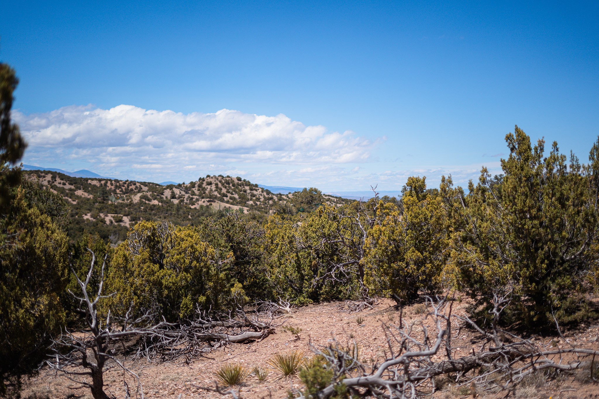 Open scrubland acreage with rocky ground, rolling hills, and distant mountain ridges.