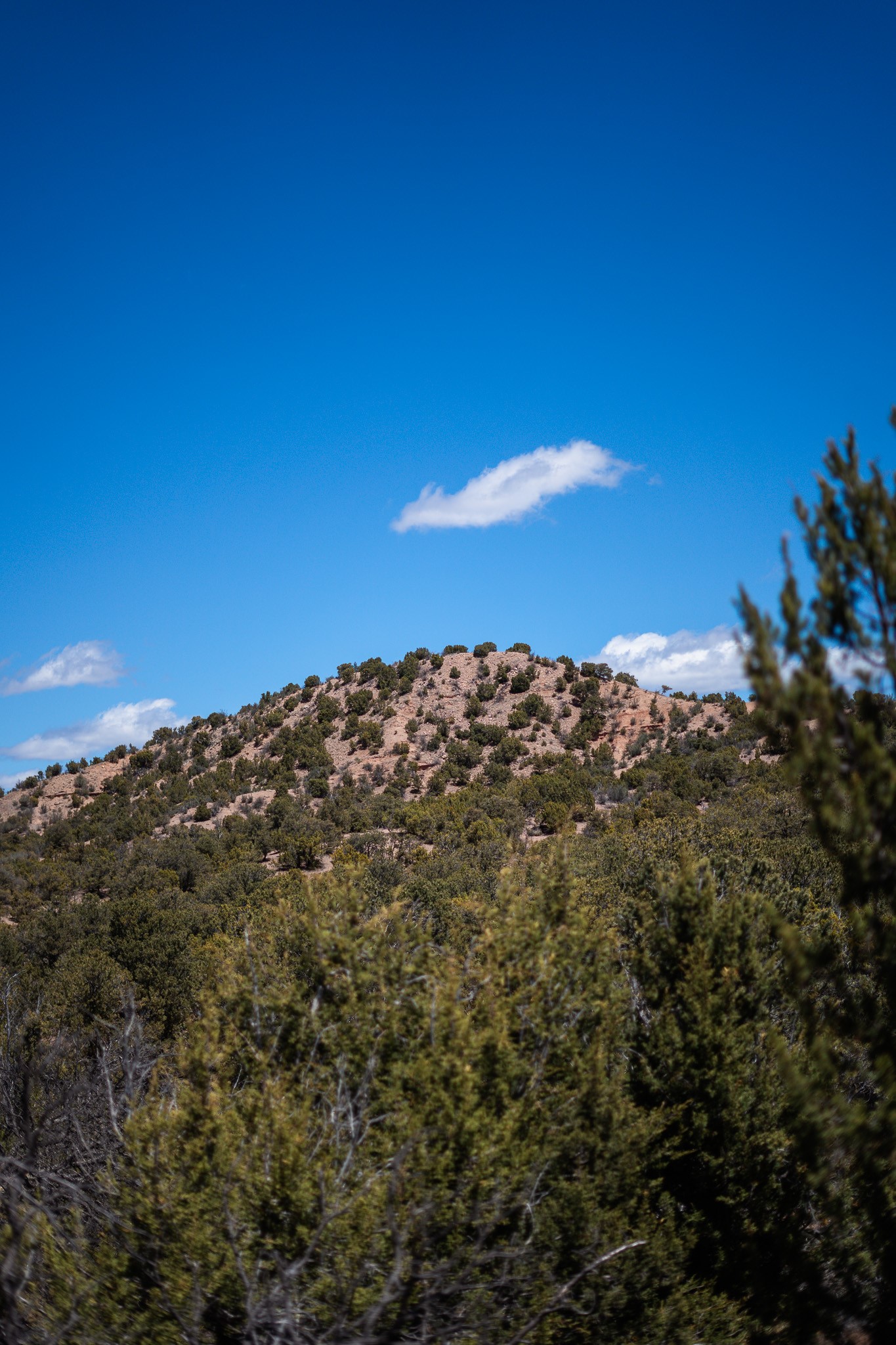 Rocky scrub-covered hill above high-desert brush beneath a bright blue sky.