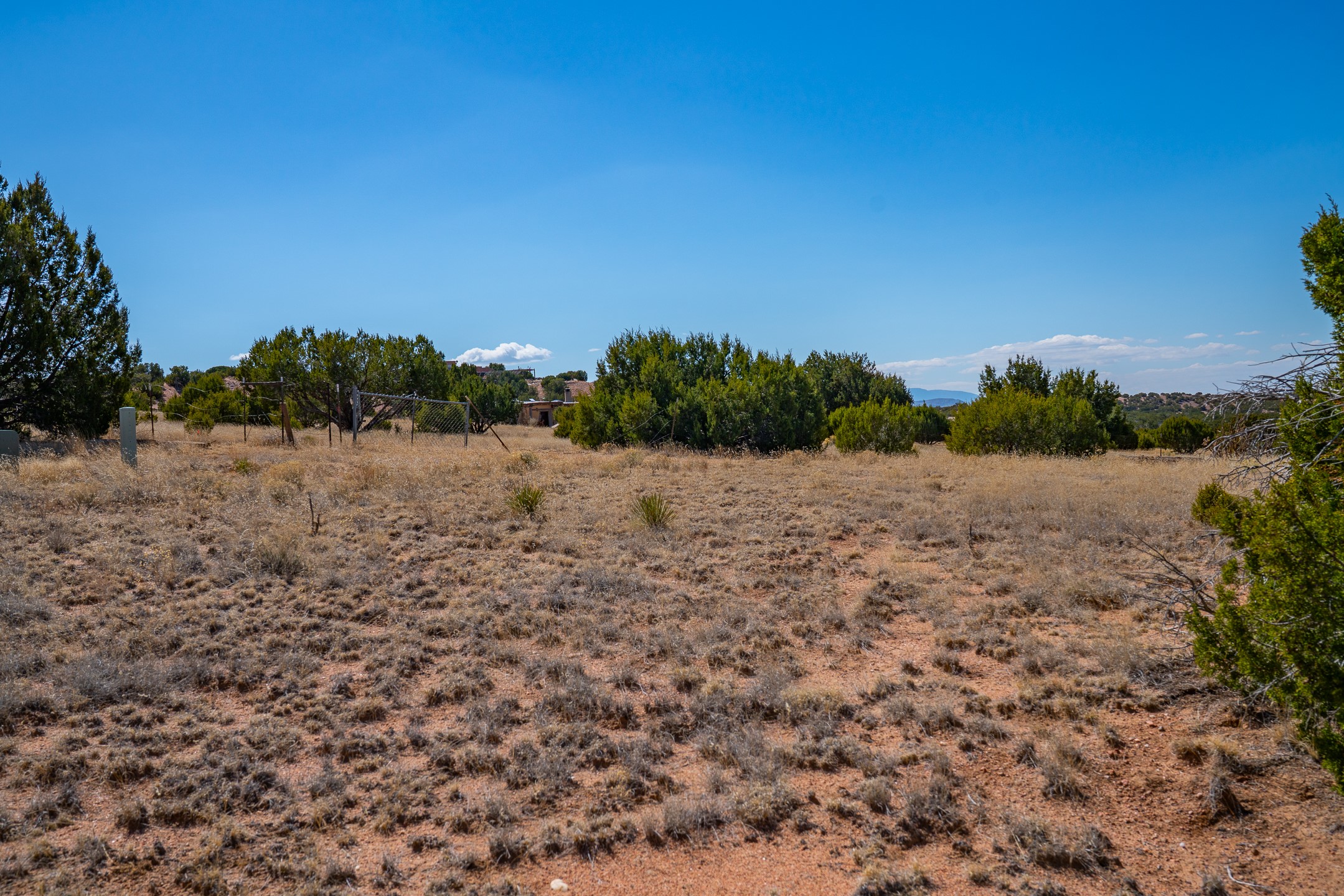 Dry, brush-covered vacant lot with juniper trees, a chain-link fence, and distant hills.