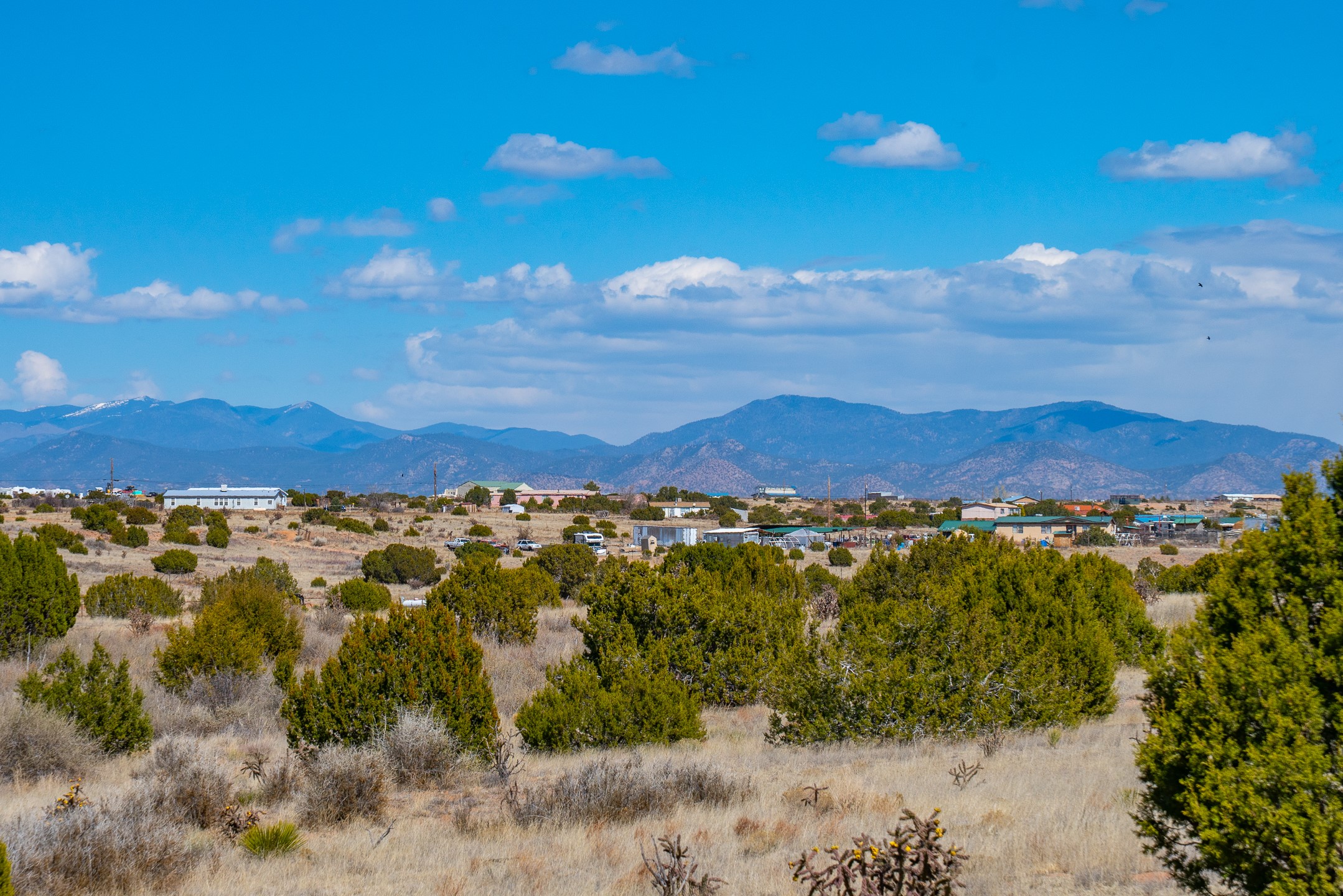 Vacant shrub-covered lot with nearby buildings and a mountain range in the distance.