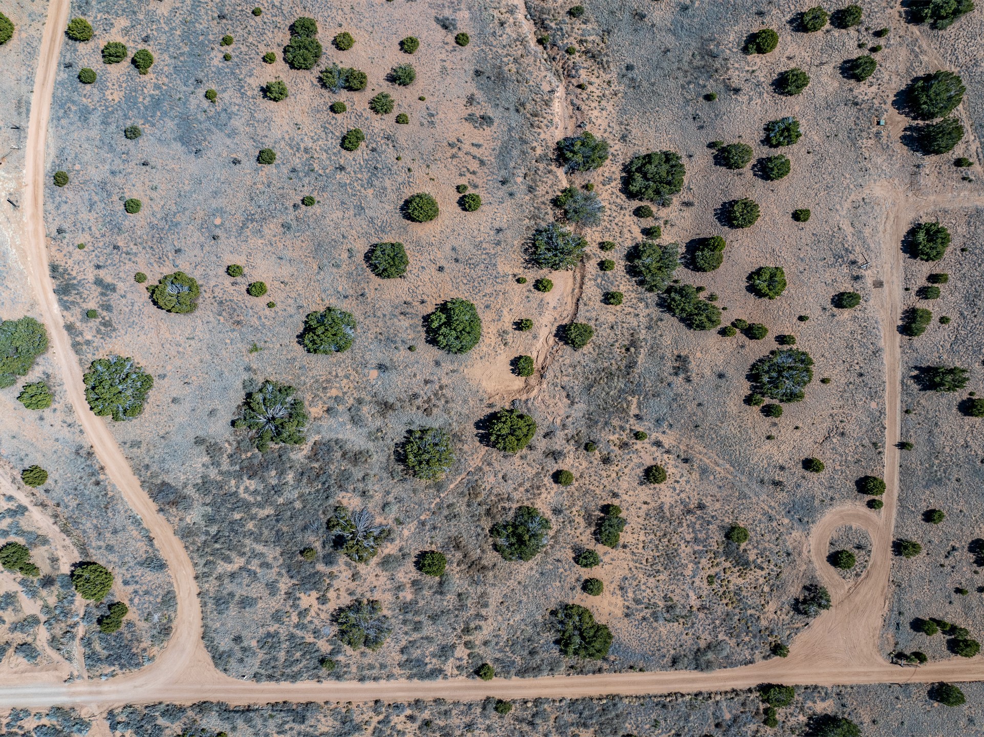 Aerial view of dry scrubland with scattered trees and unpaved roads.